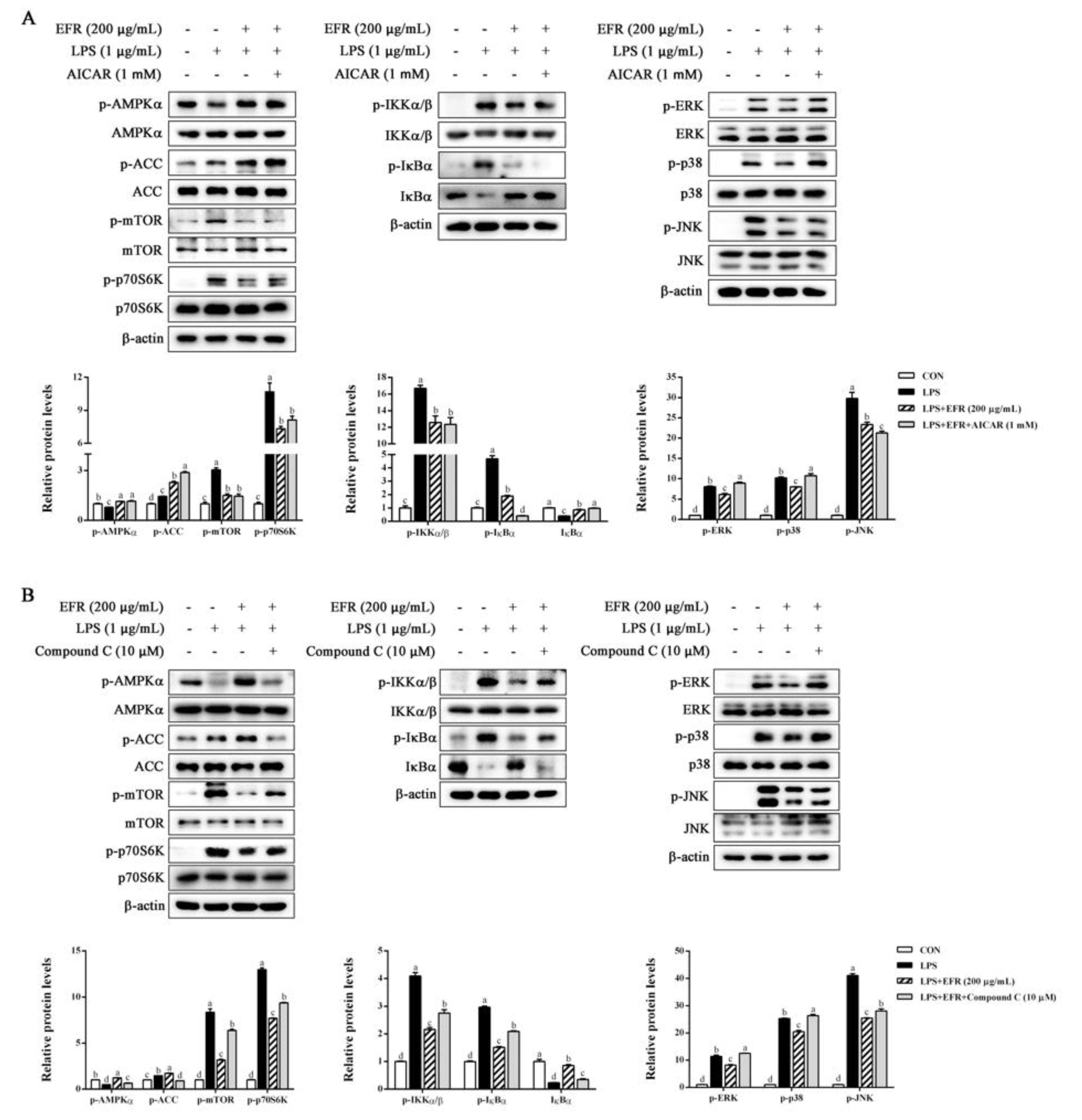 Molecules 28 02813 g006