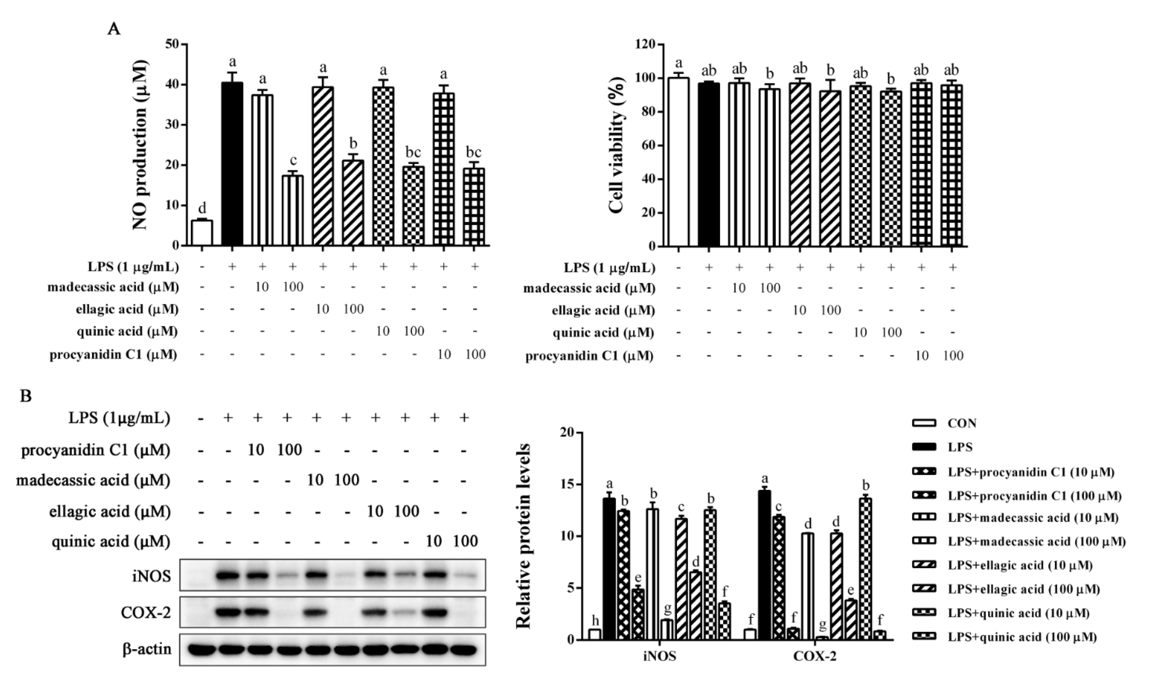 Molecules 28 02813 g007