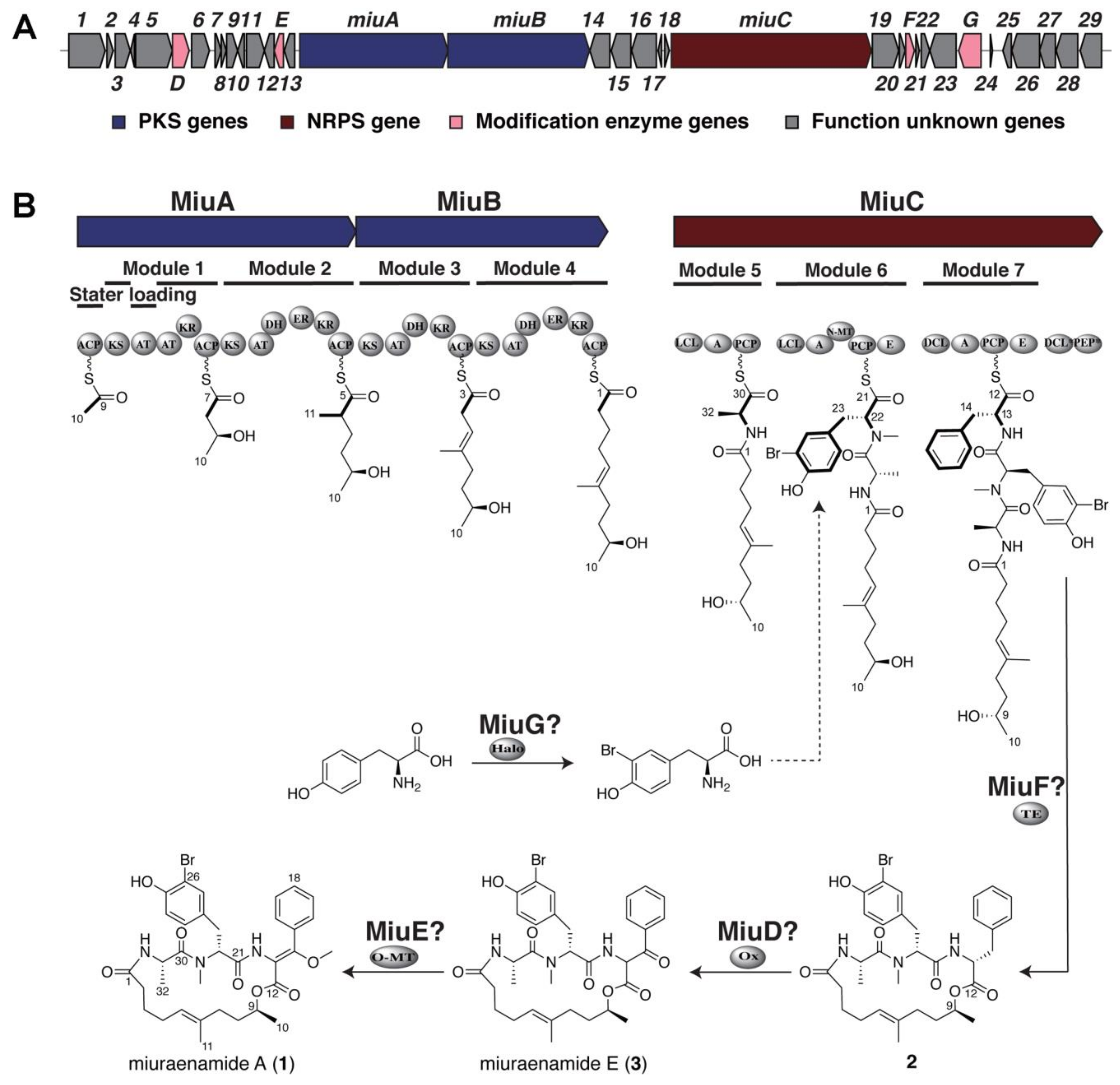 Molecules 28 02815 g002