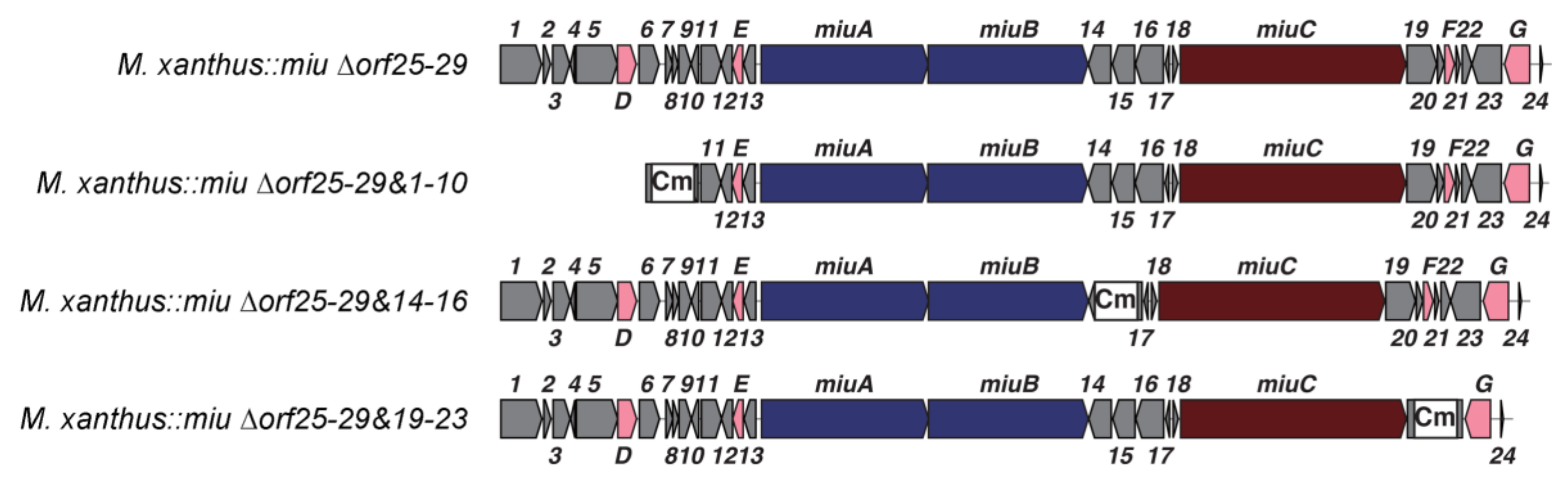 Molecules 28 02815 g005