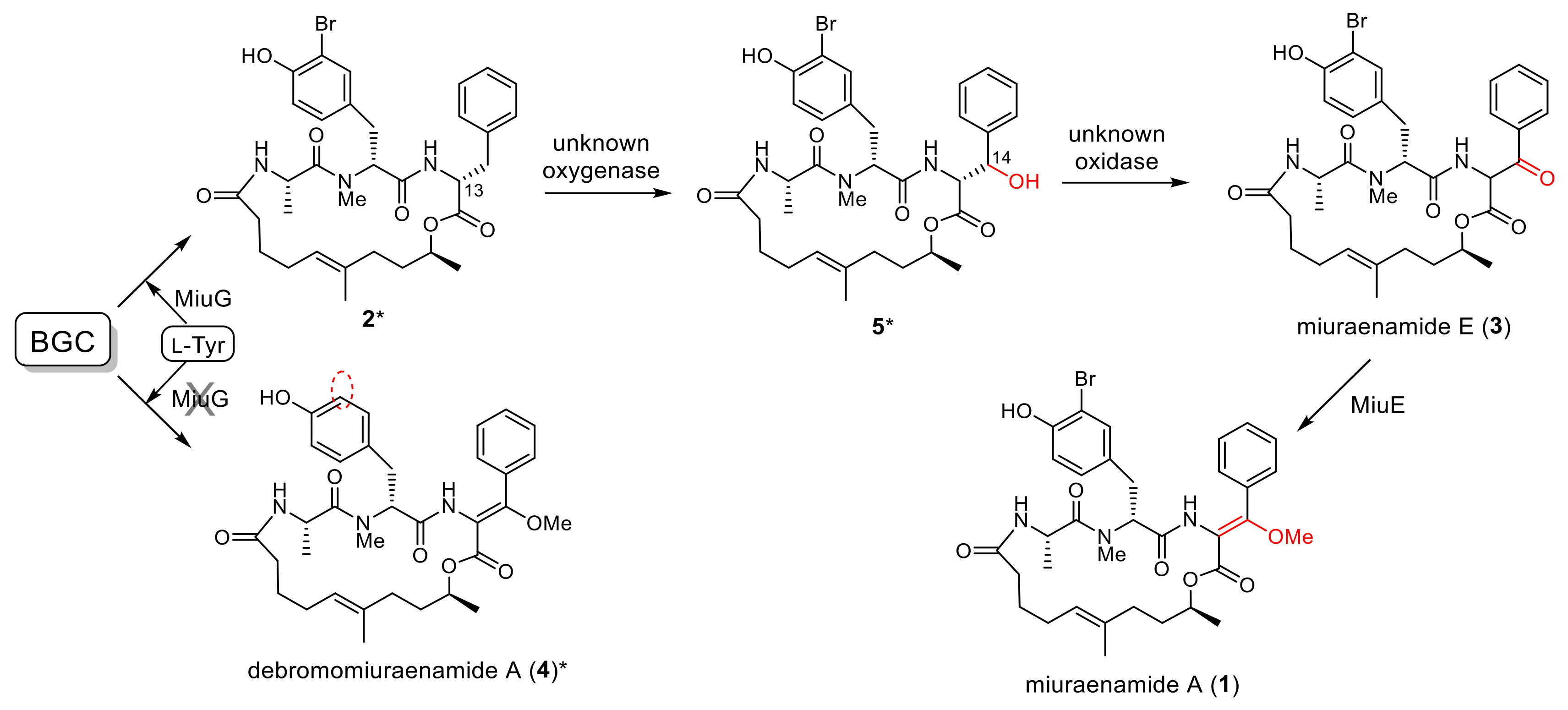 Molecules 28 02815 g007