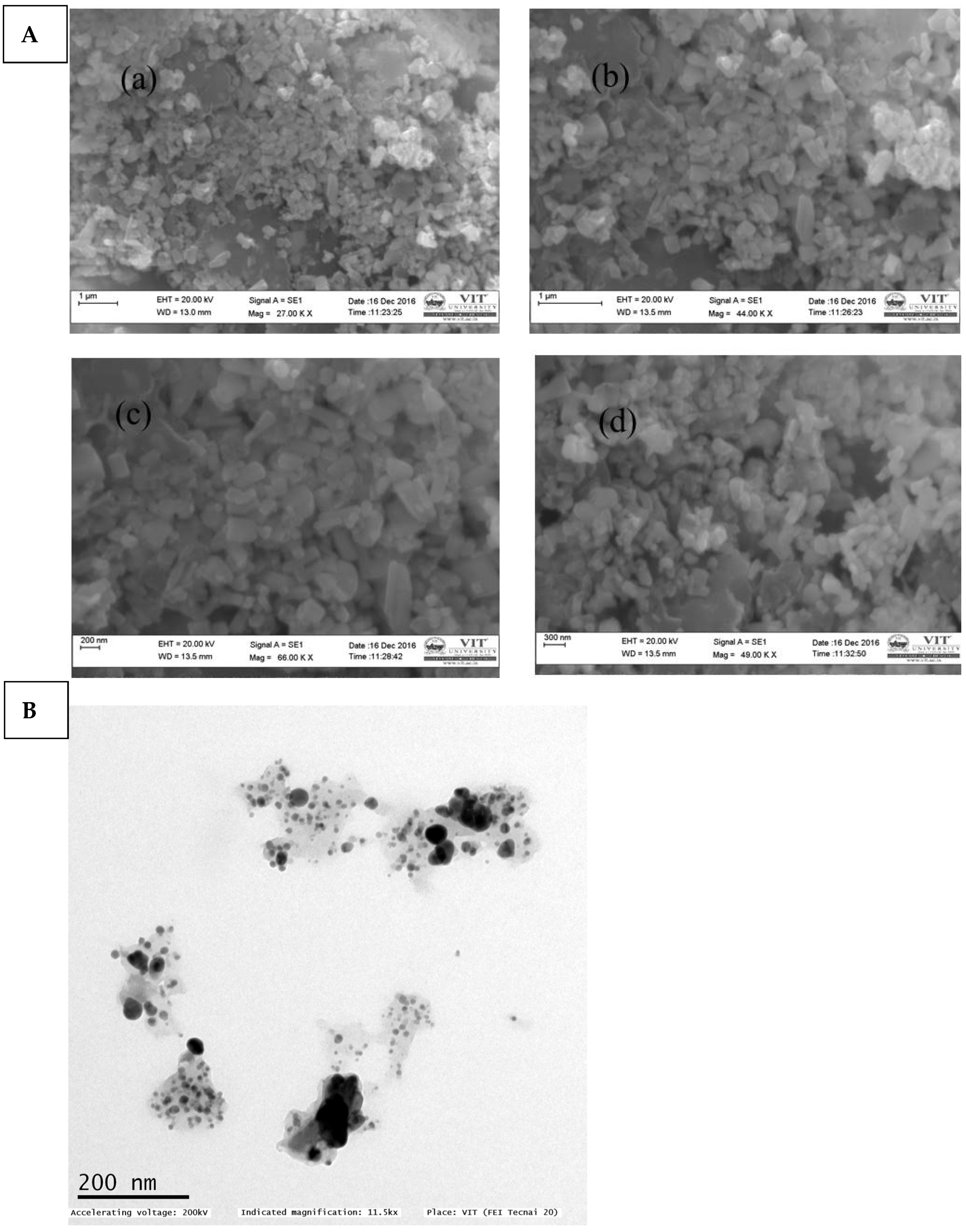 Molecules 28 02818 g003