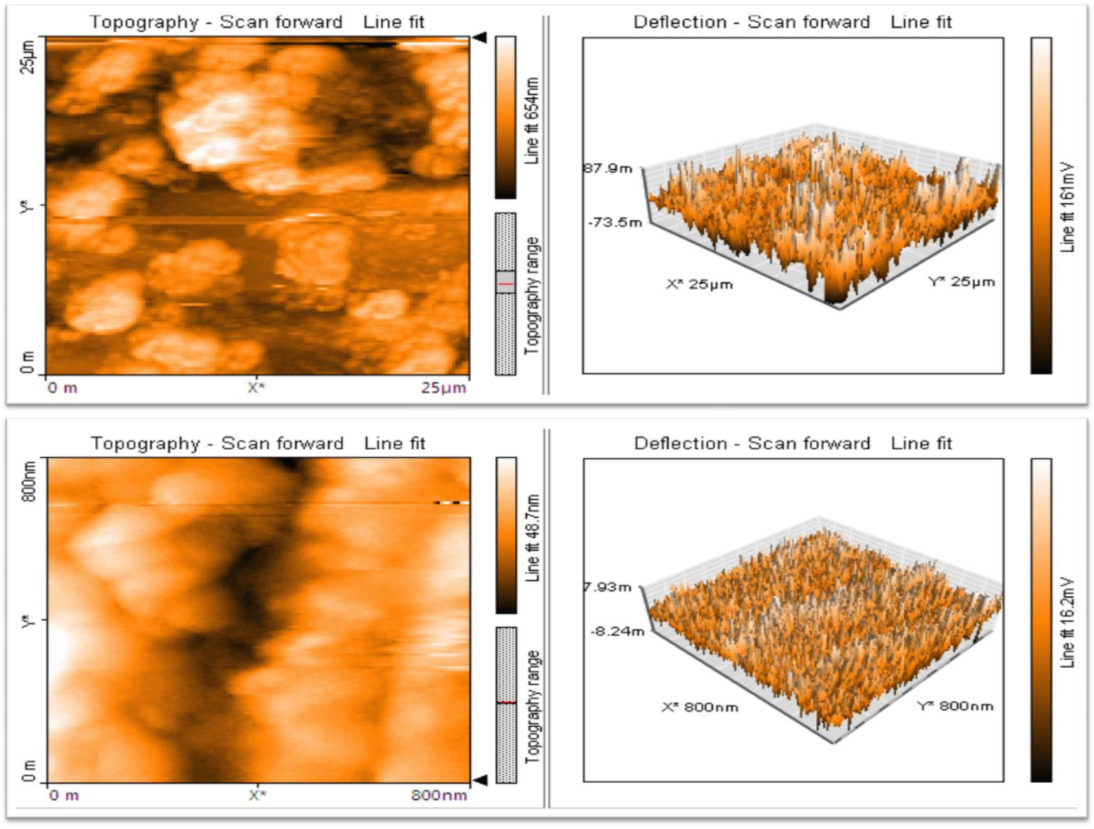 Molecules 28 02818 g006