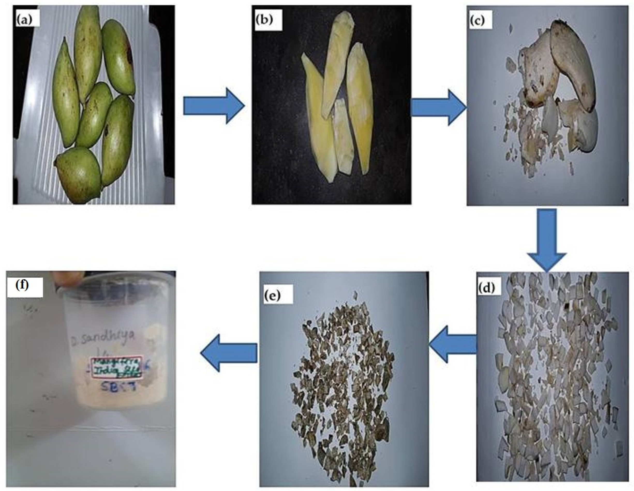 Molecules 28 02818 g009