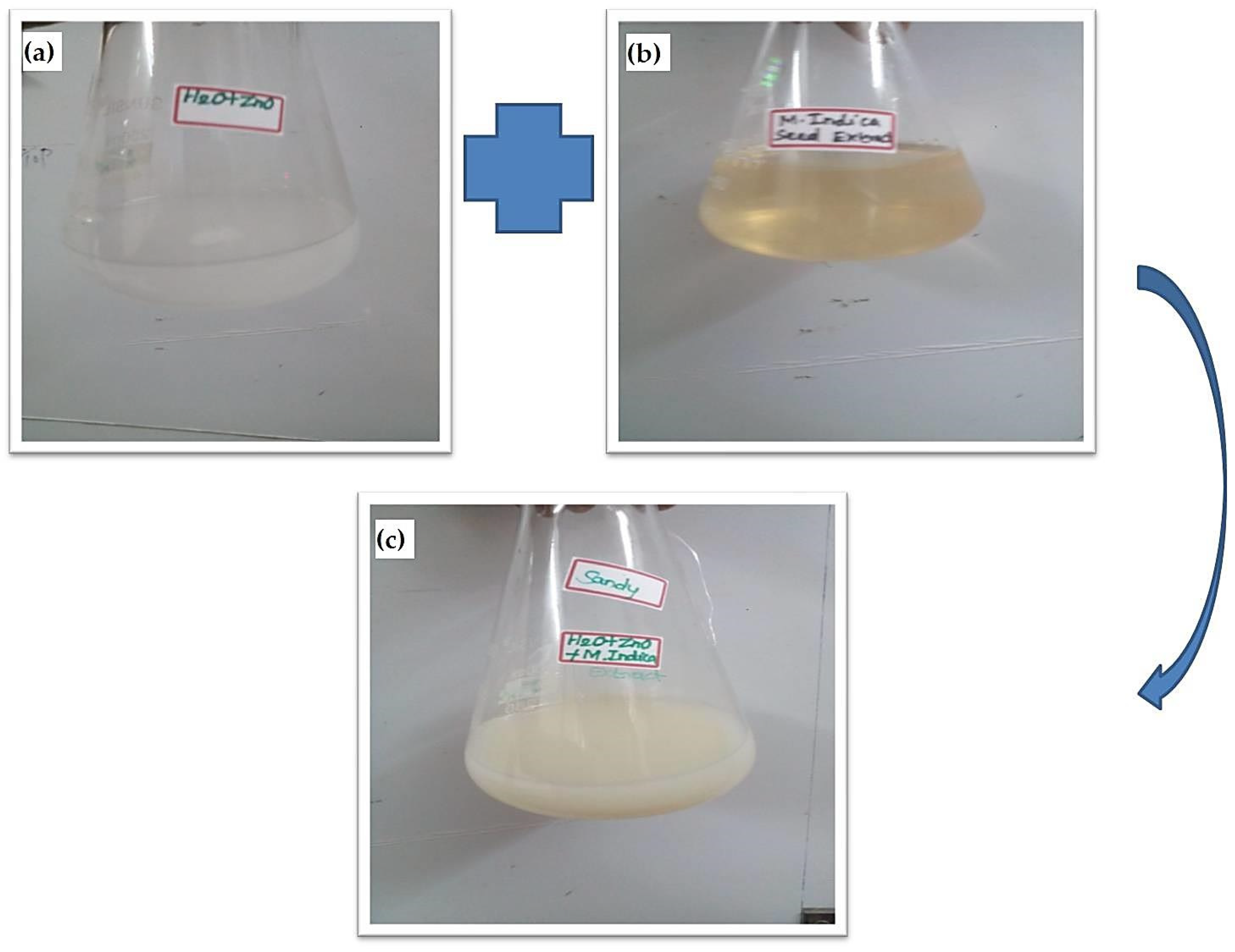 Molecules 28 02818 g010