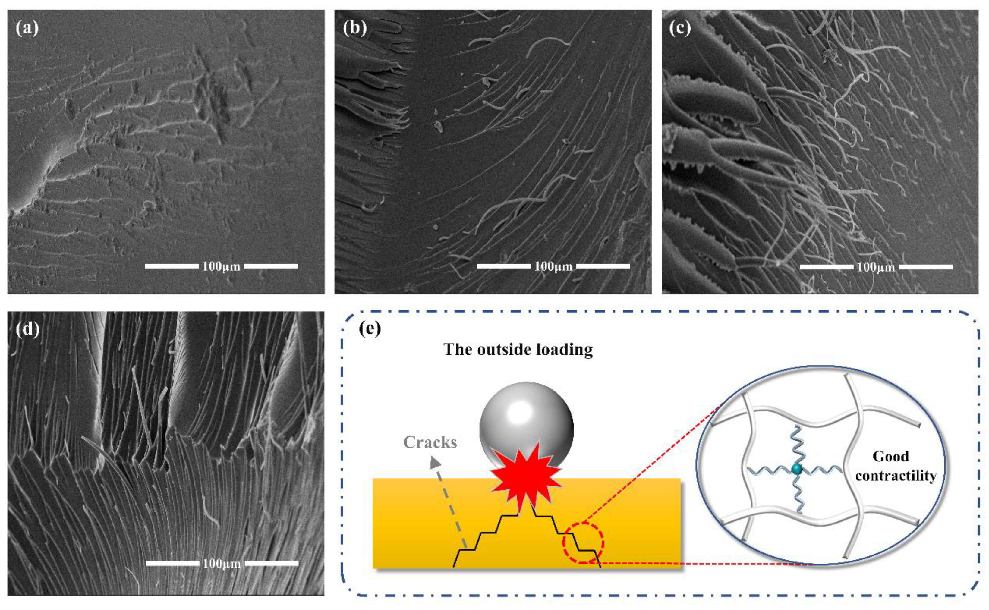 Molecules 28 02826 g004