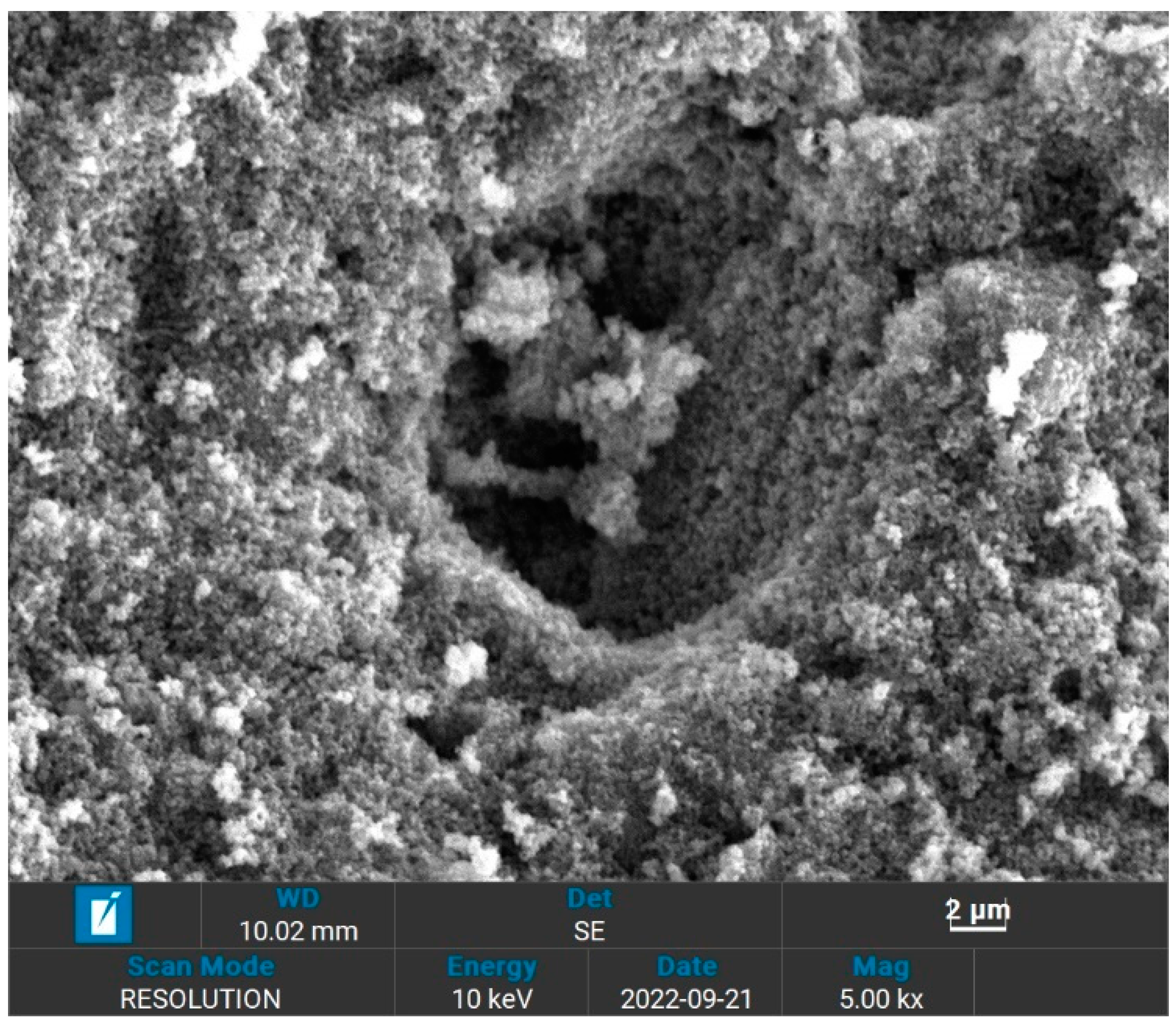 Molecules 28 02833 g003
