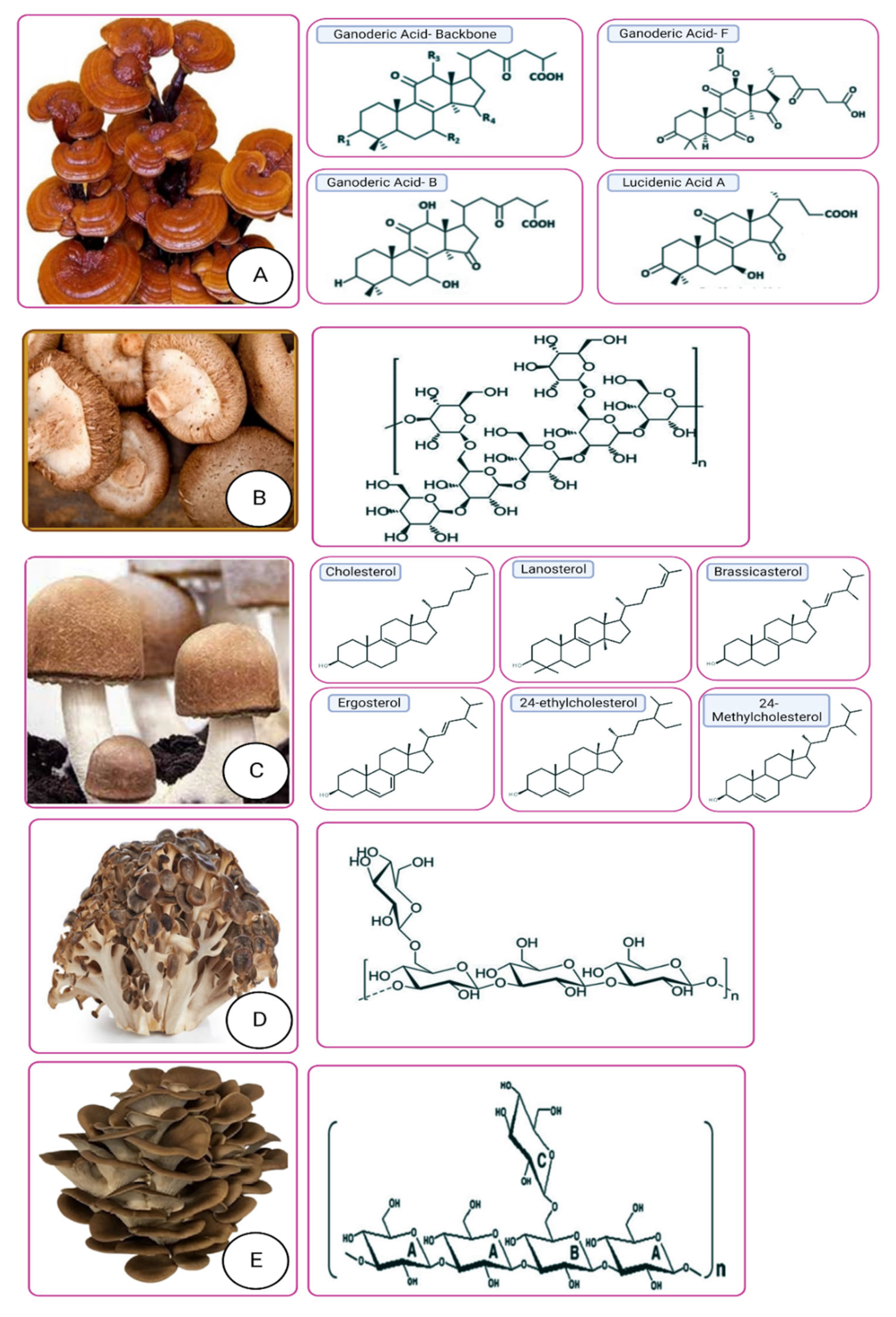 Molecules 28 02837 g003 Molecules 28 02837 g003