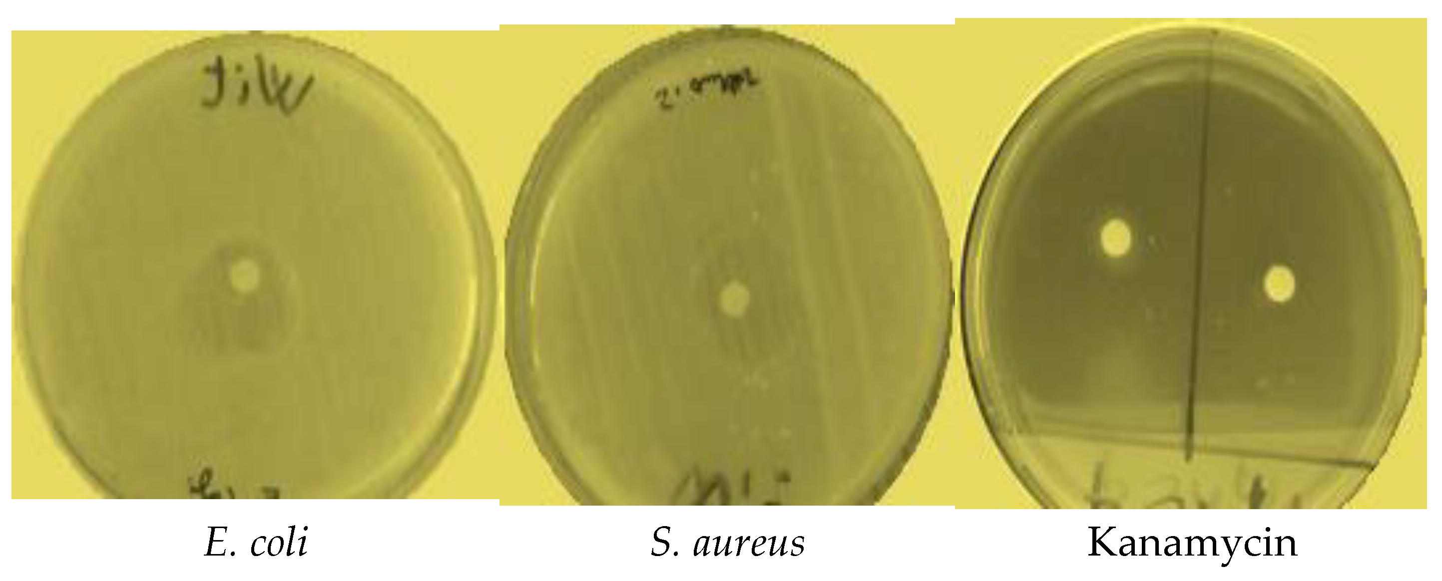 Molecules 28 02839 g003