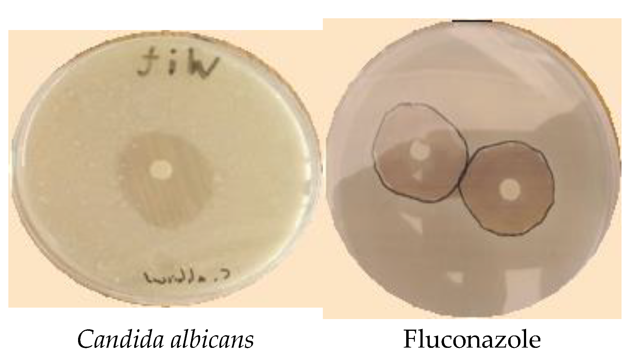 Molecules 28 02839 g004