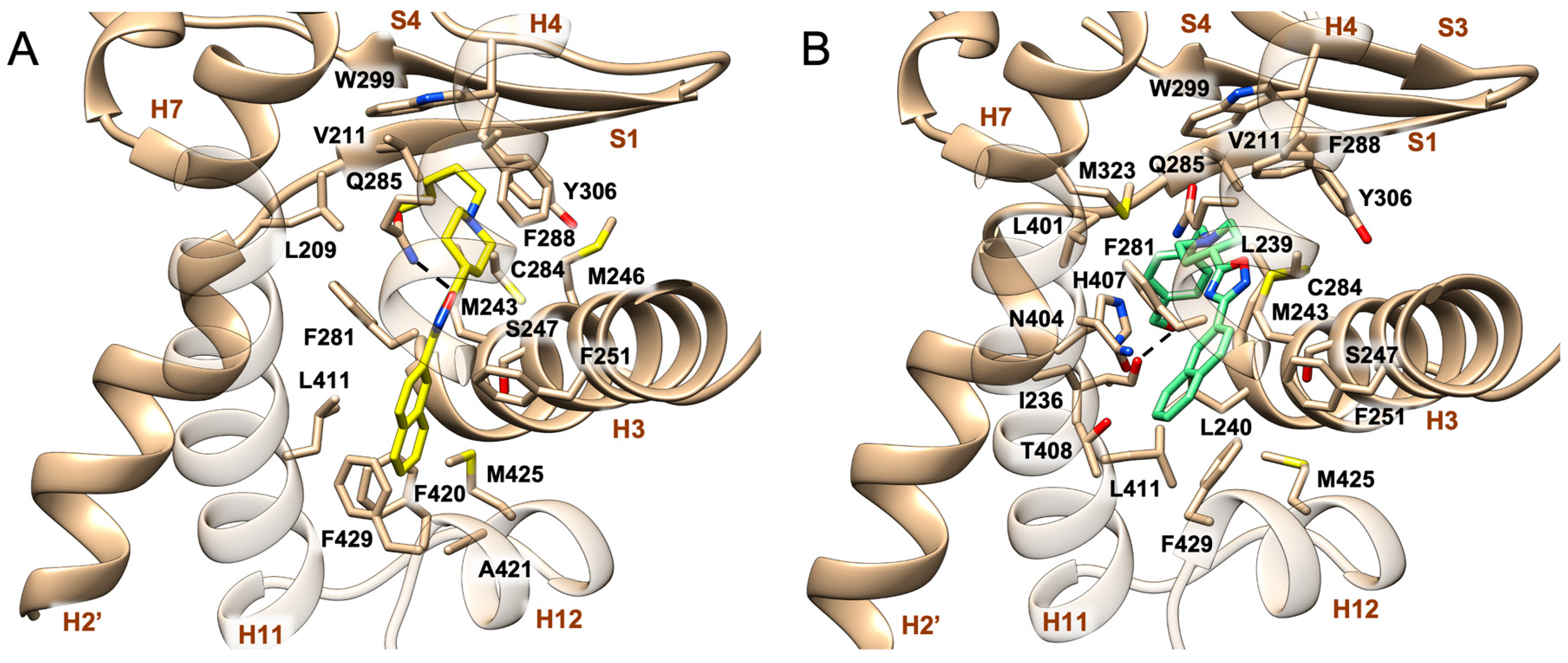Molecules 28 02840 g003