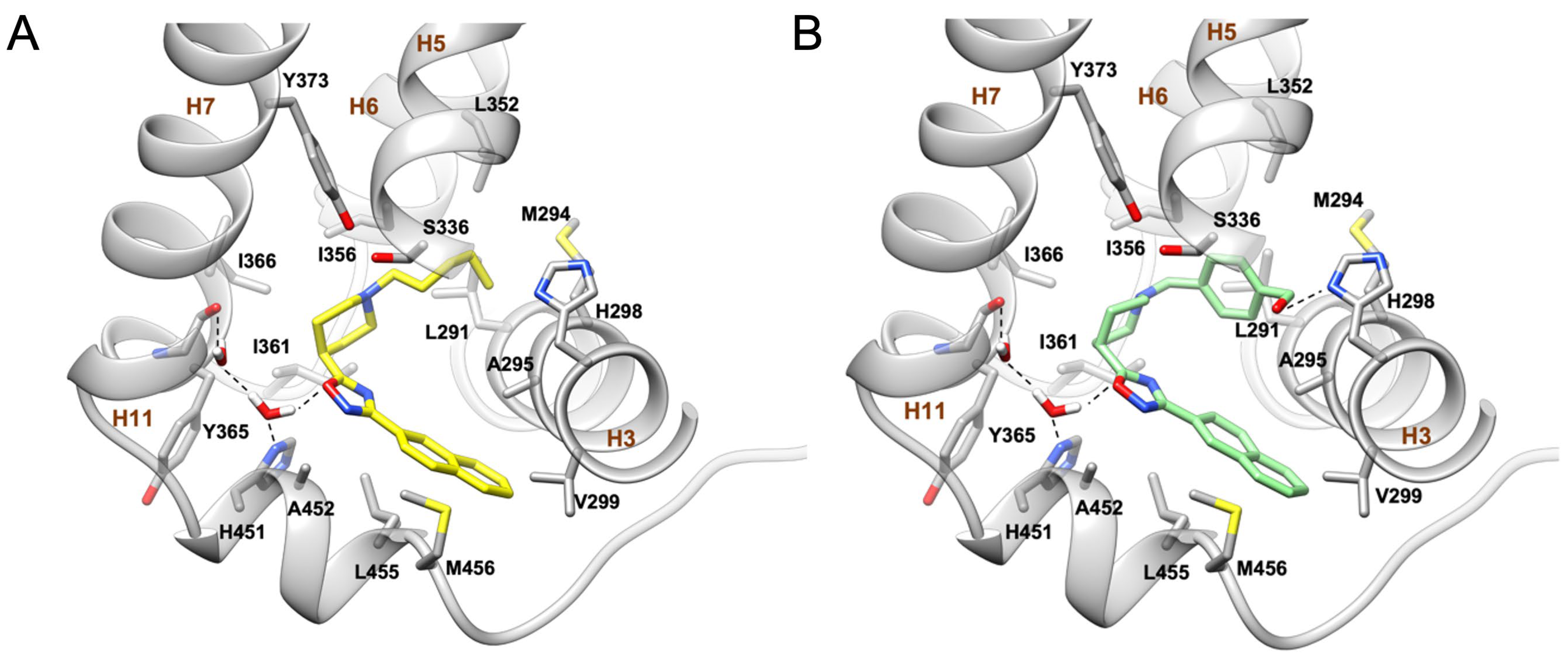 Molecules 28 02840 g004