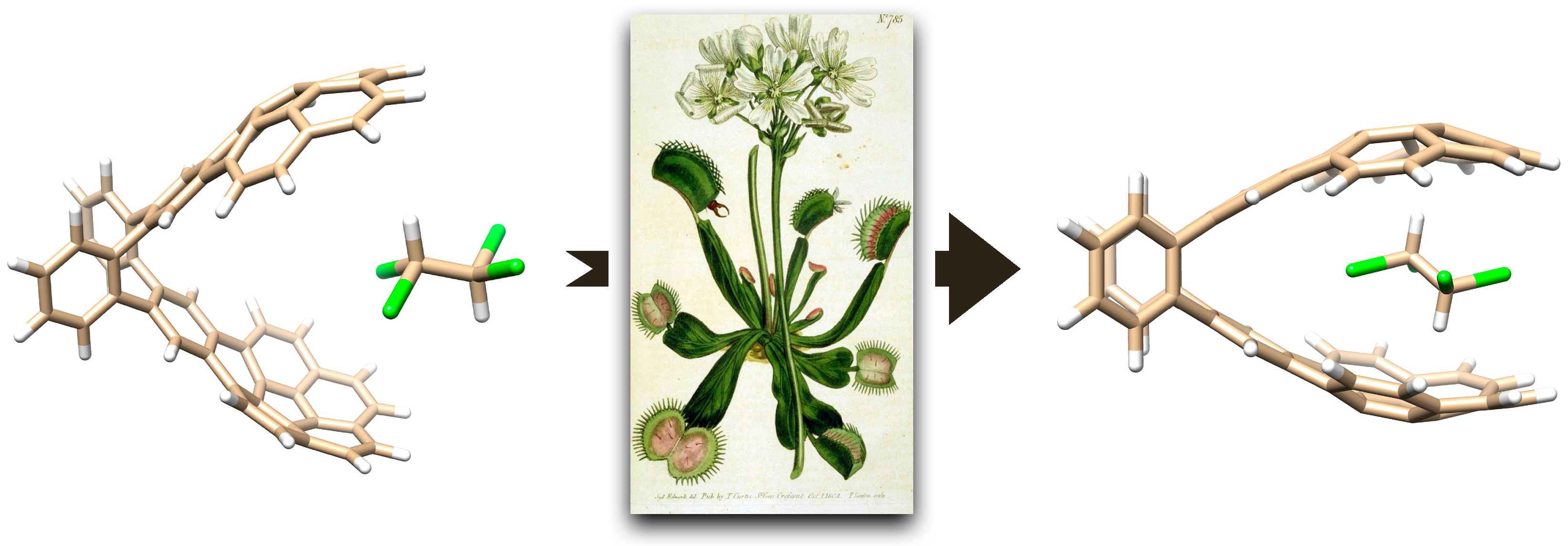 Molecules 28 02841 g001