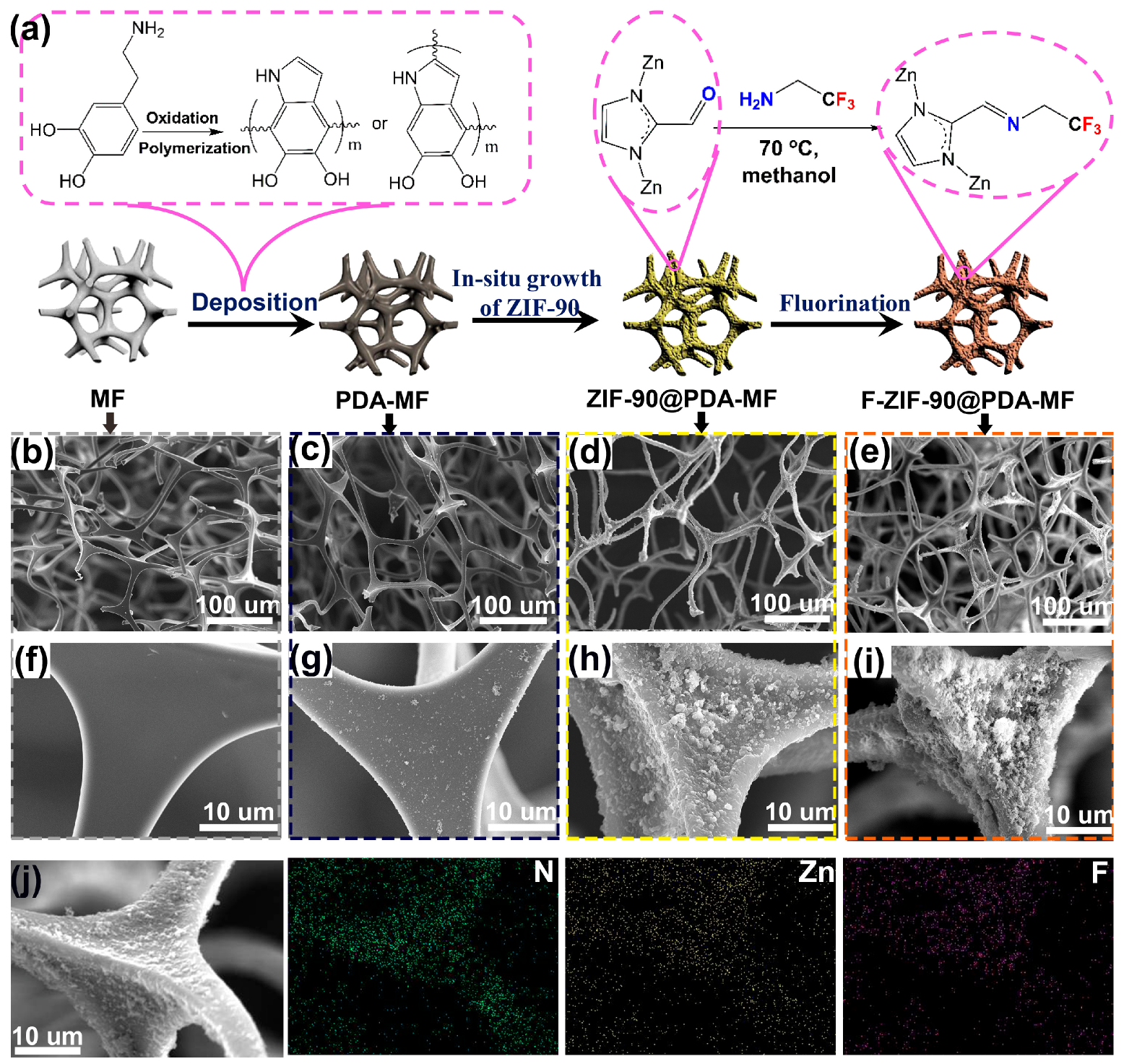 Molecules 28 02843 g001