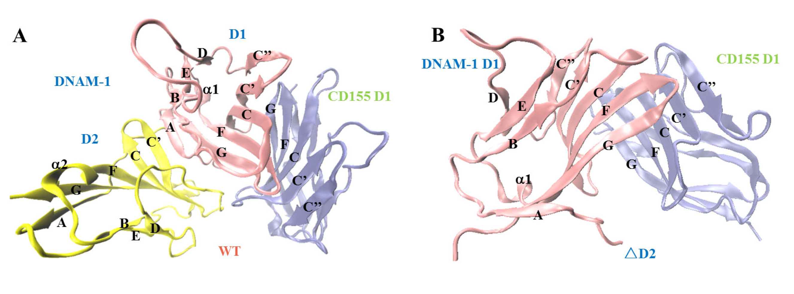 Molecules 28 02847 g001