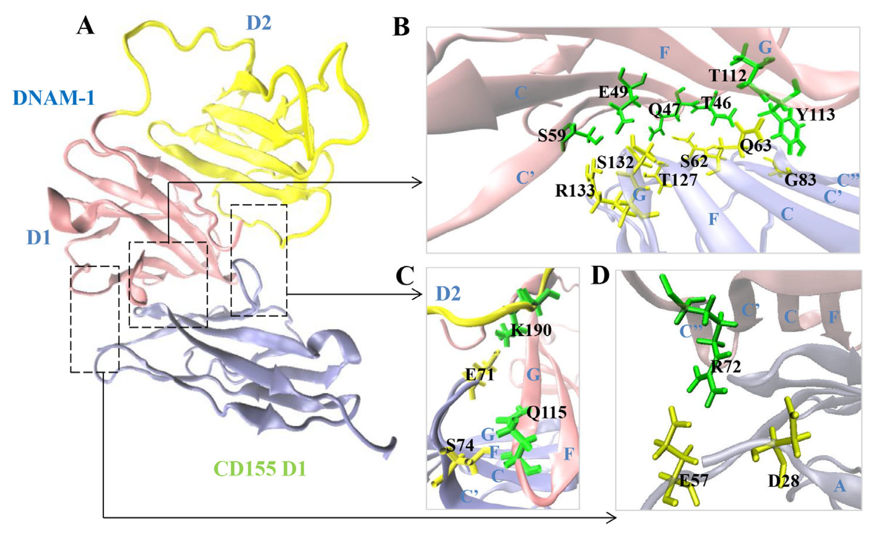Molecules 28 02847 g003