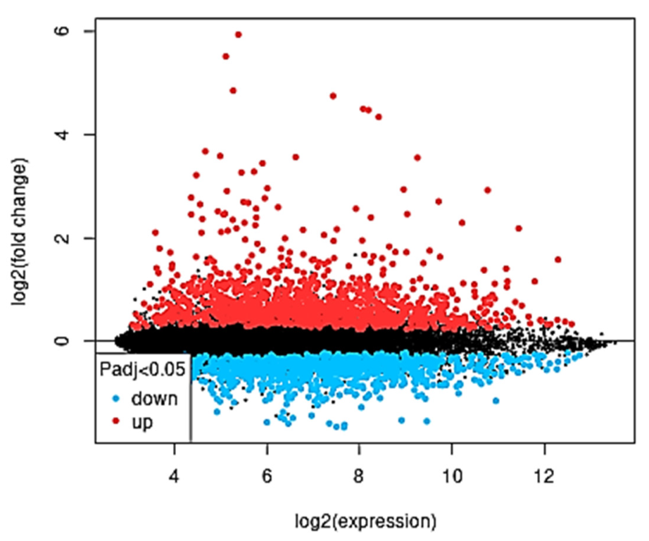 Molecules 28 02849 g003