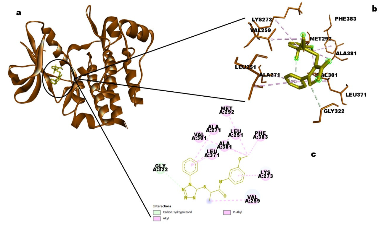 Molecules 28 02849 g010
