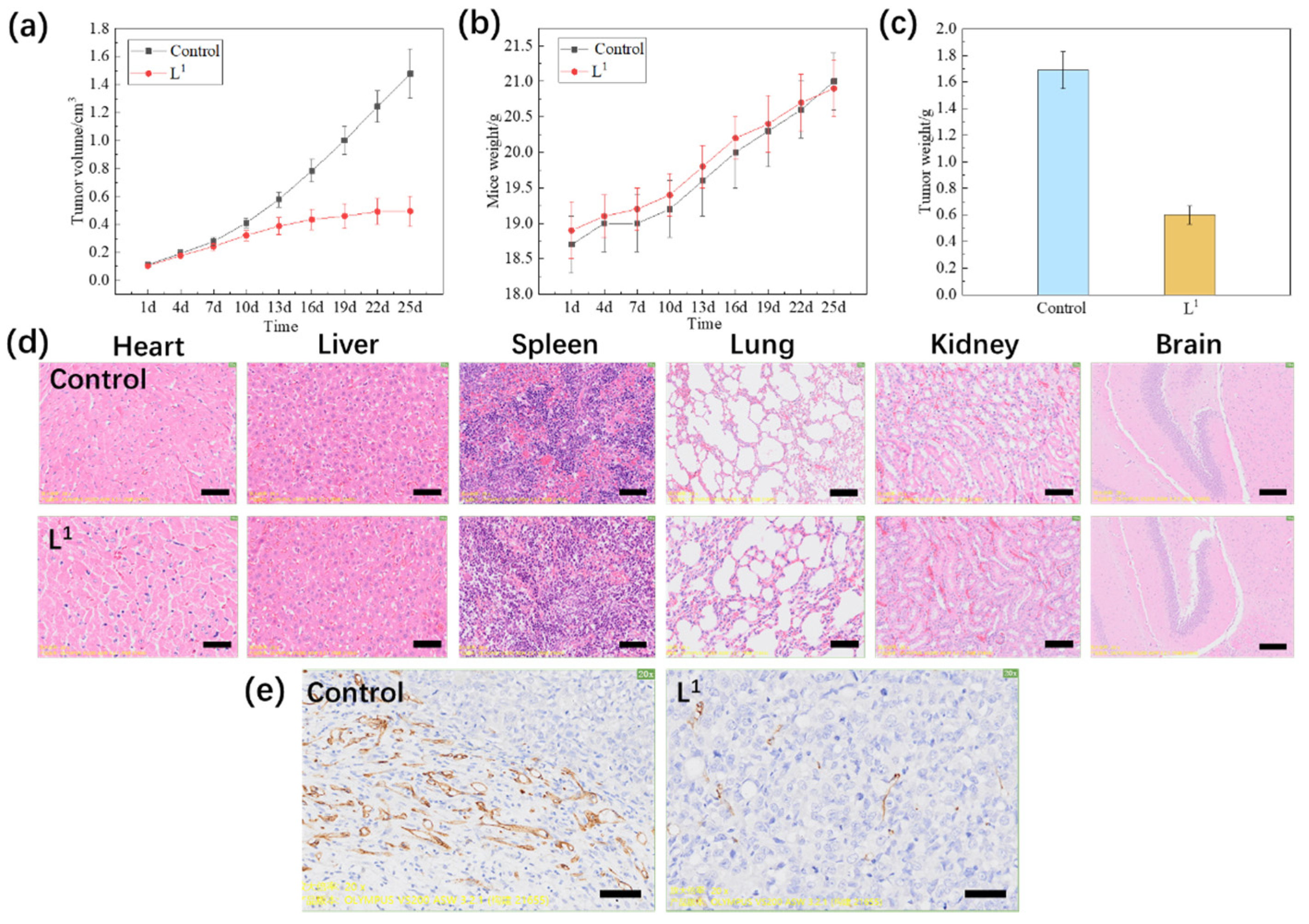 Molecules 28 02850 g006