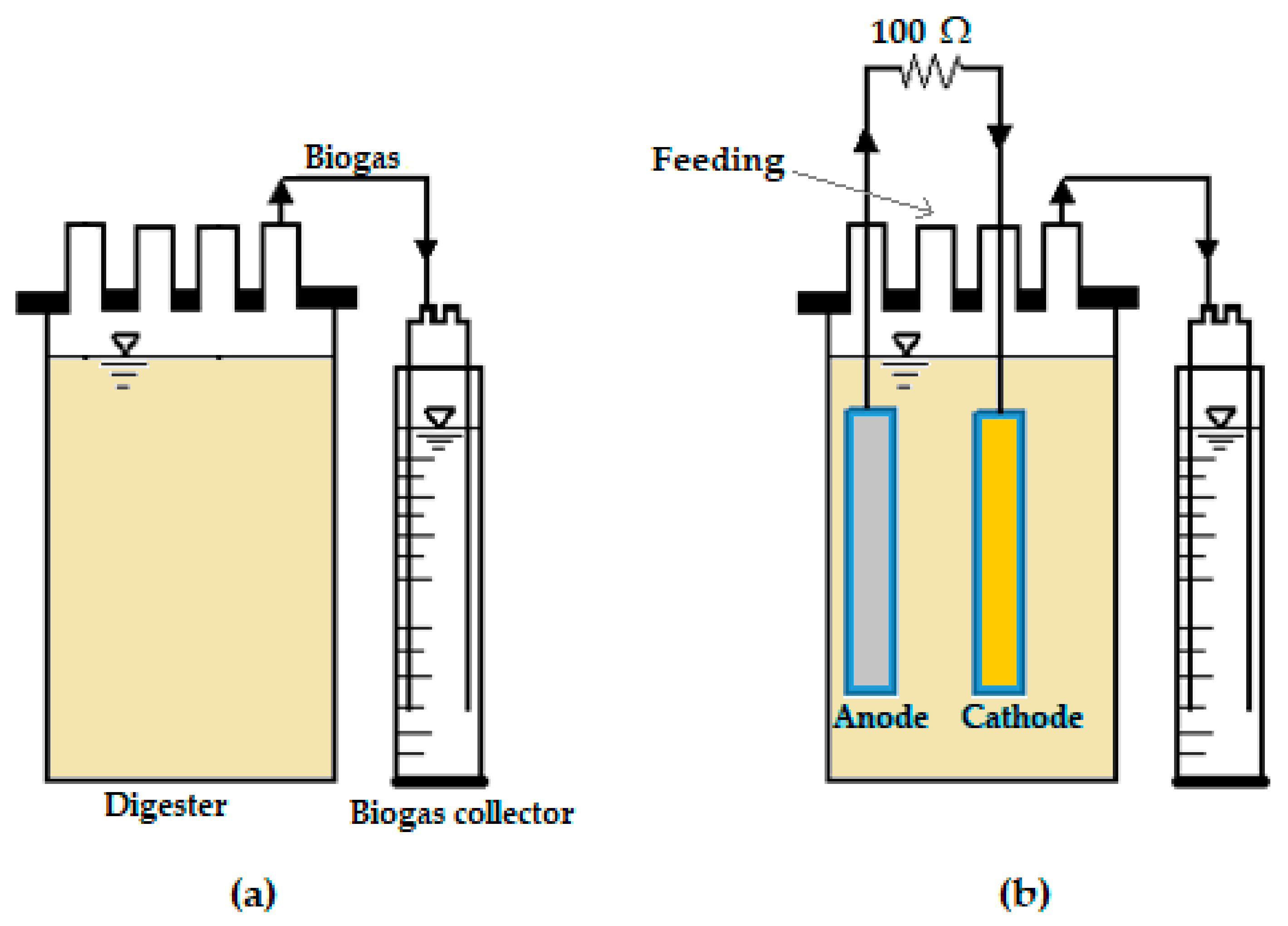 Molecules 28 02853 g011