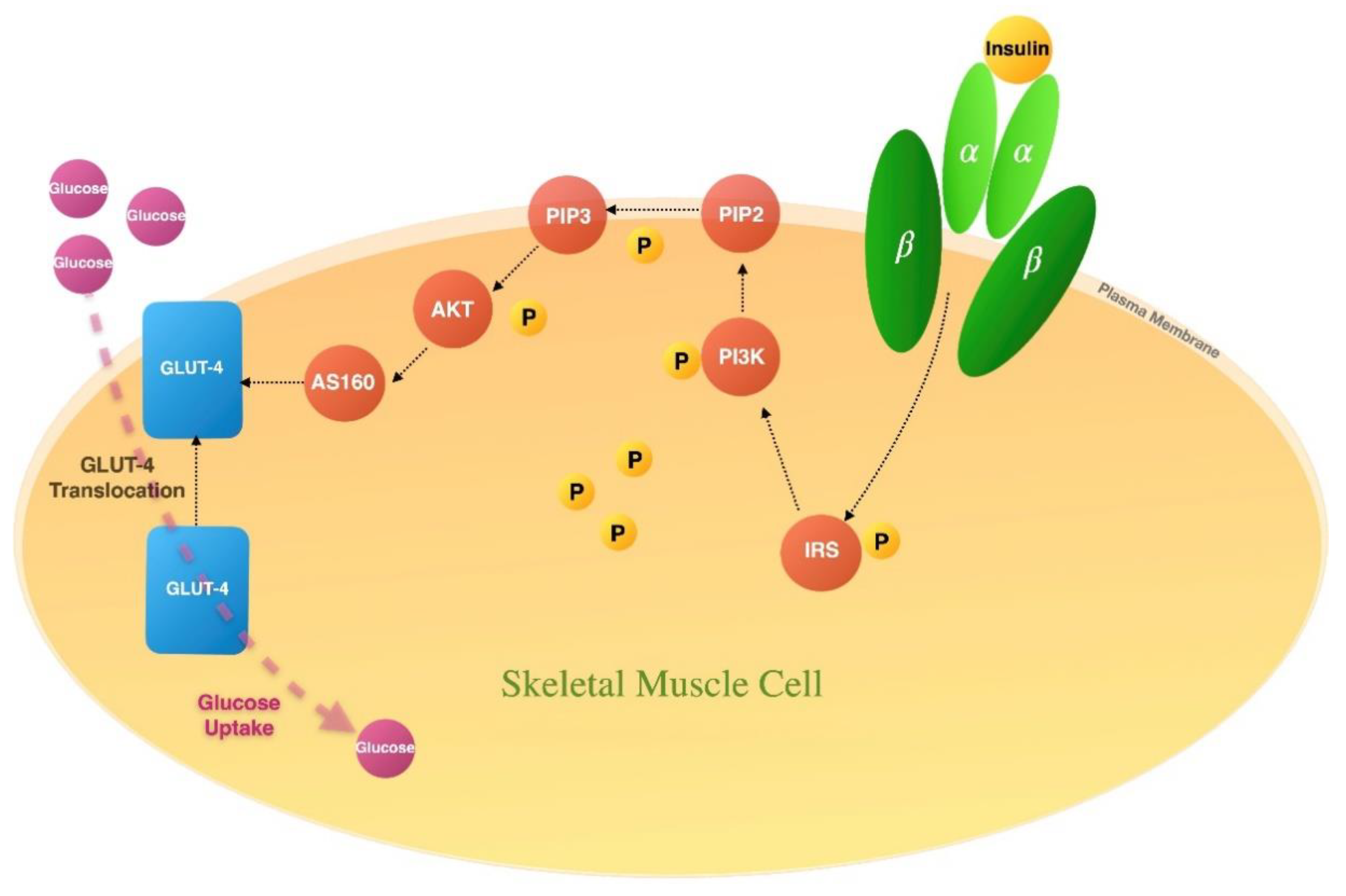 Molecules 28 02861 g001 Molecules 28 02861 g001