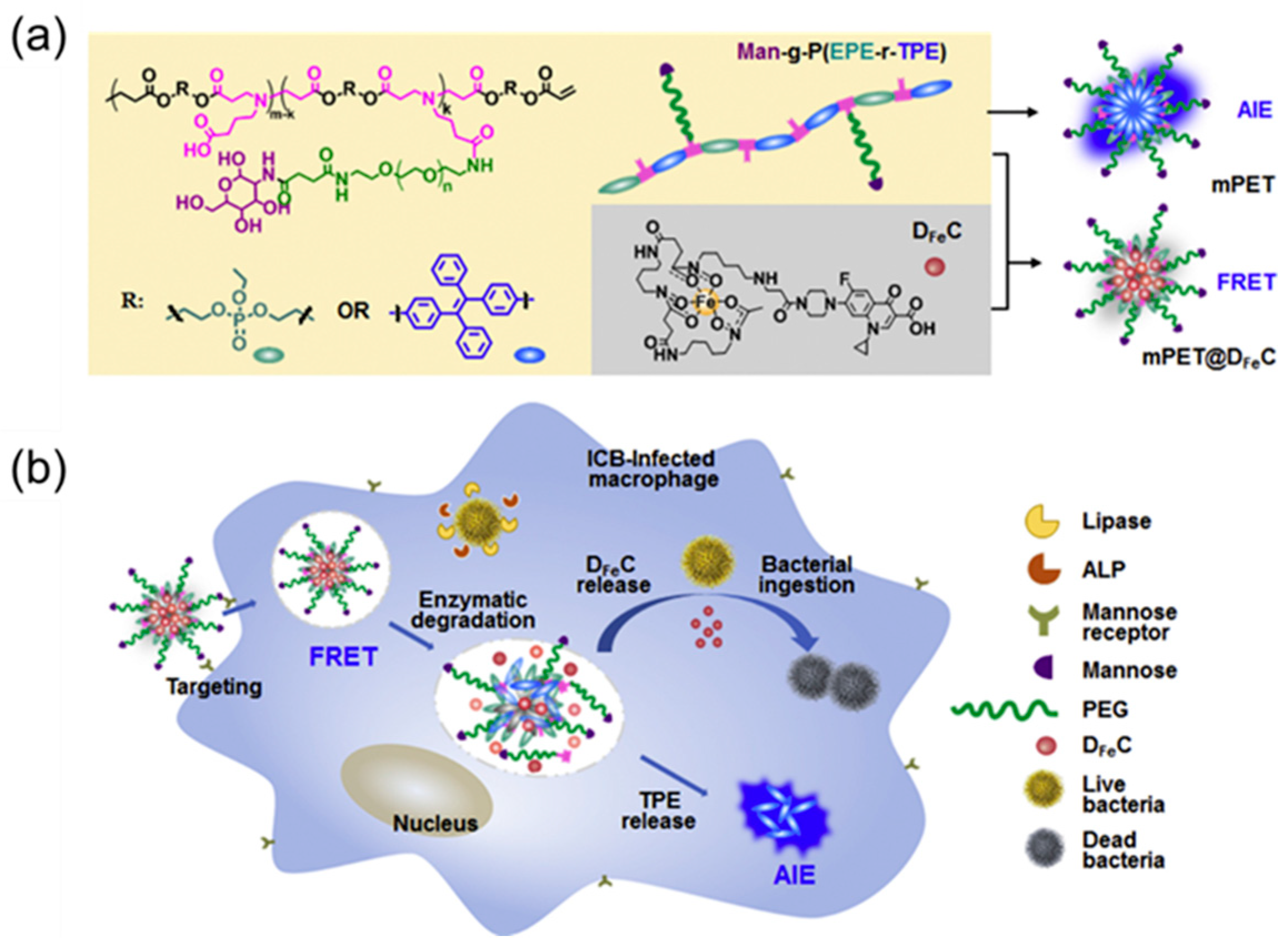 Molecules 28 02863 g003