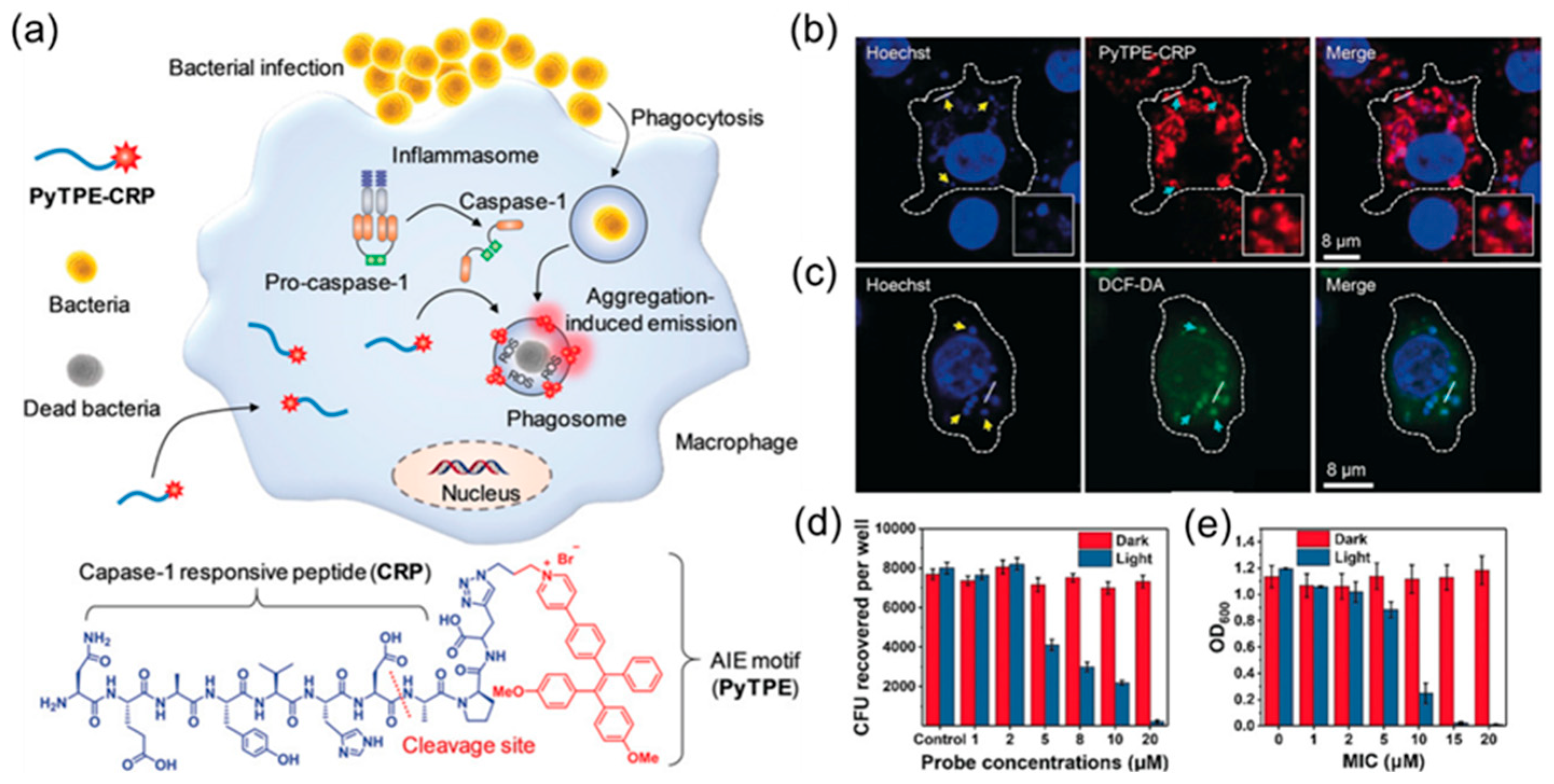Molecules 28 02863 g006