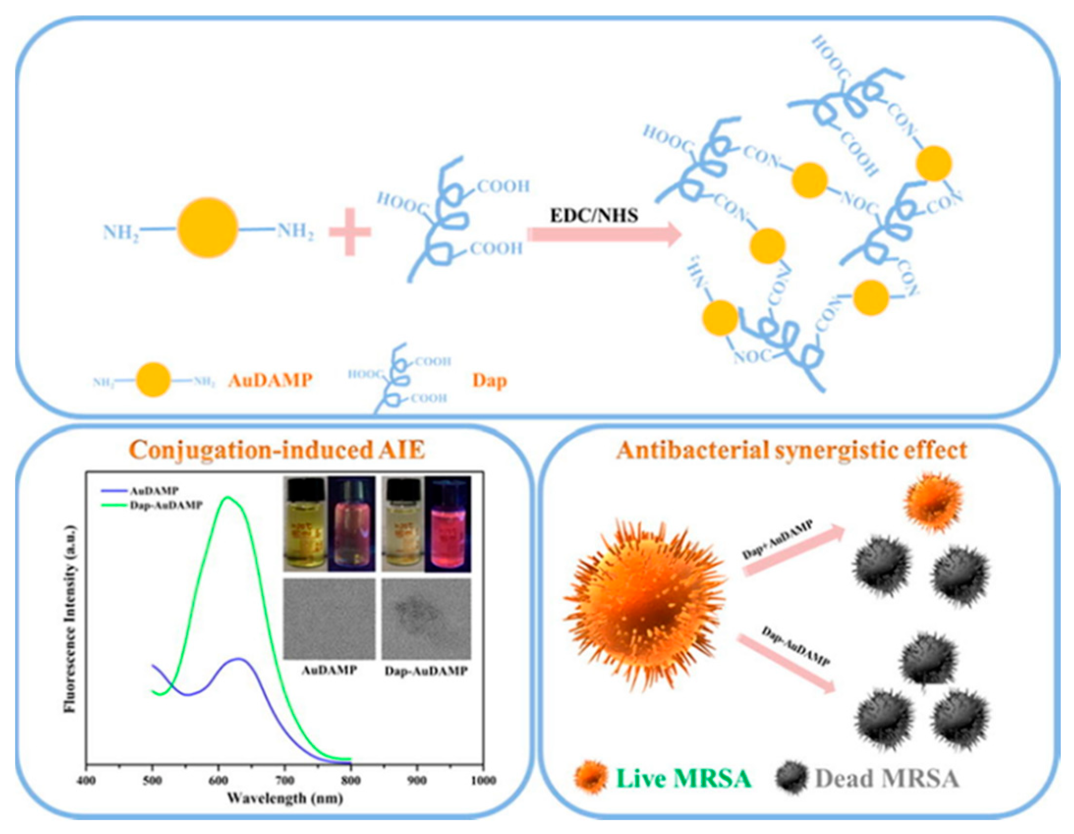 Molecules 28 02863 g009