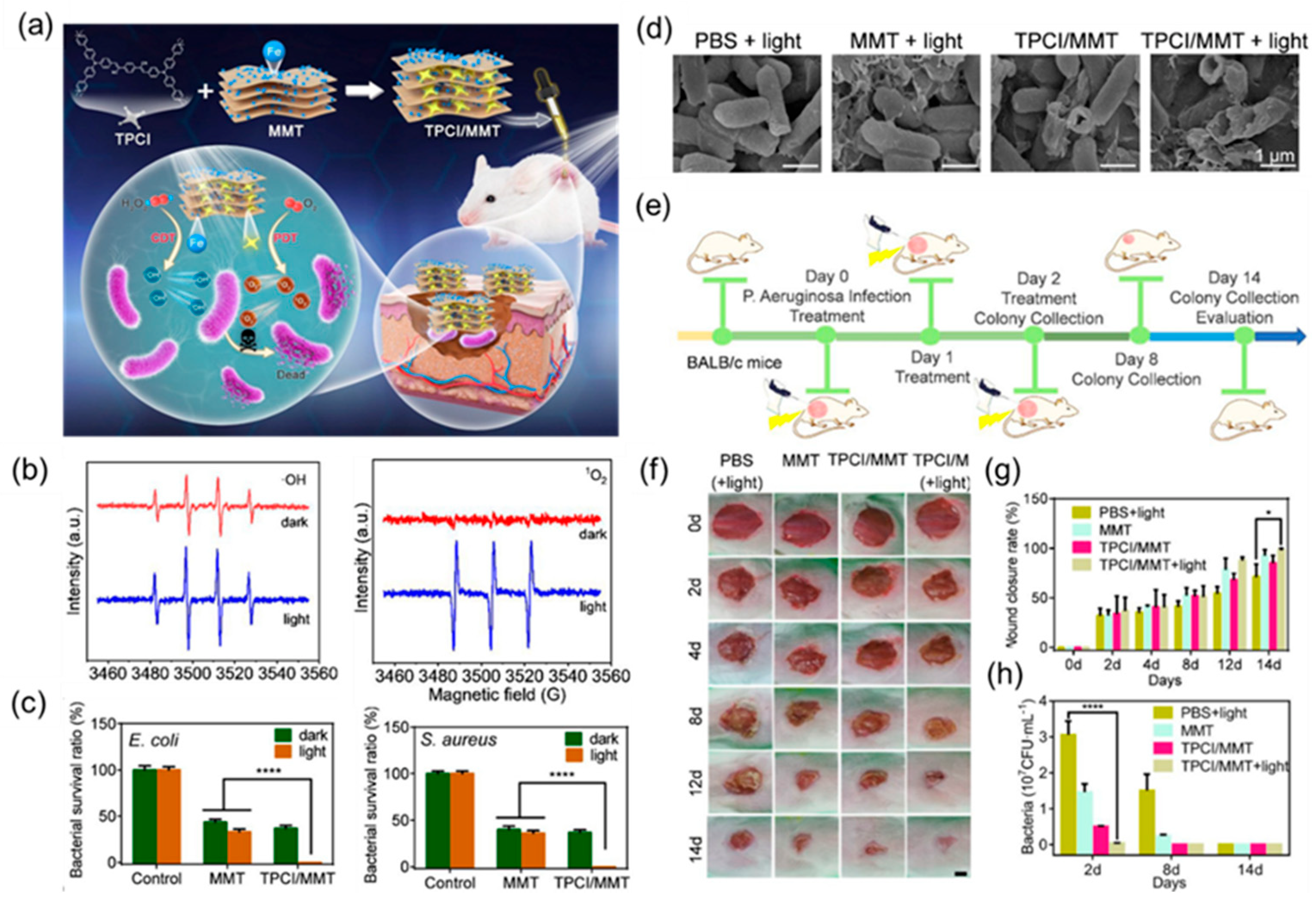 Molecules 28 02863 g011