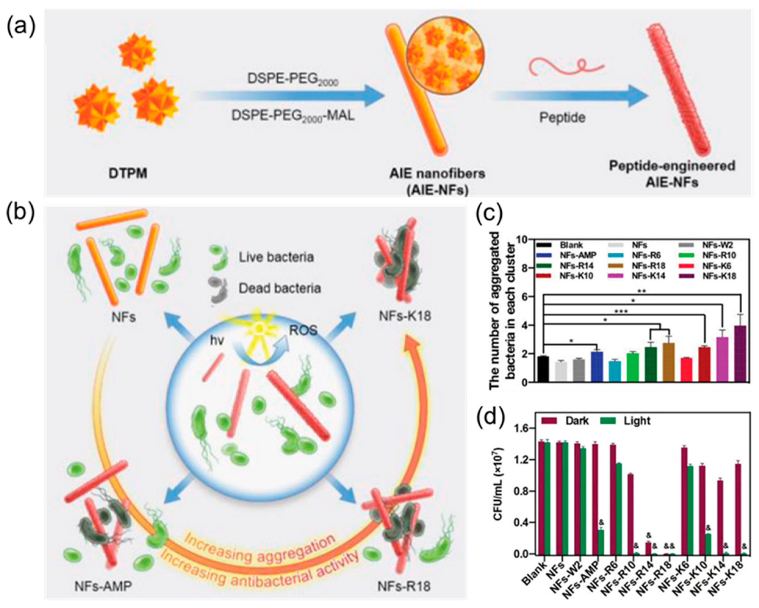 Molecules 28 02863 g012