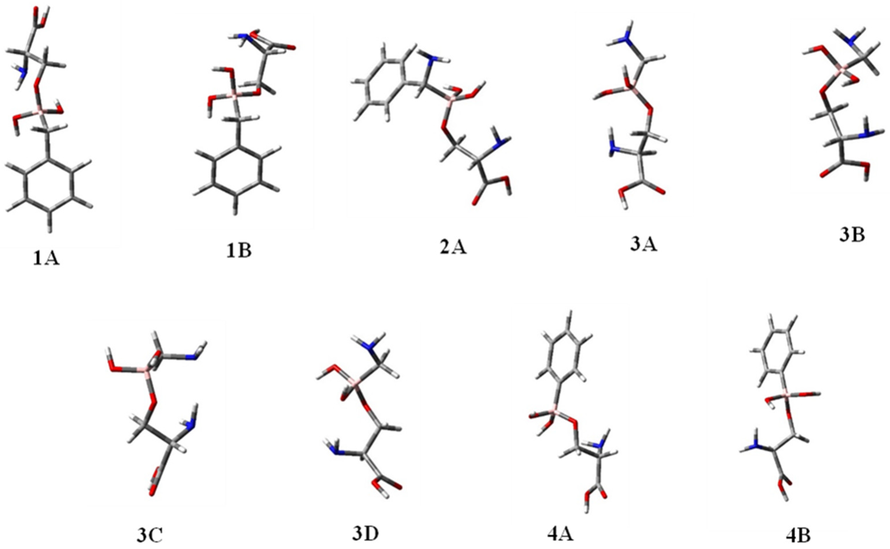 Molecules 28 02866 g004