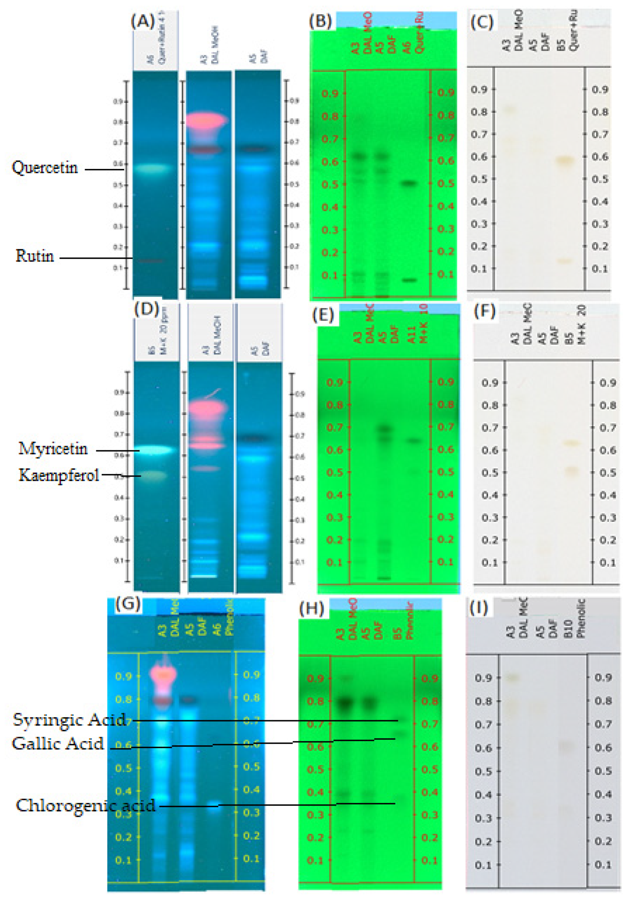 Molecules 28 02870 g001 Molecules 28 02870 g001