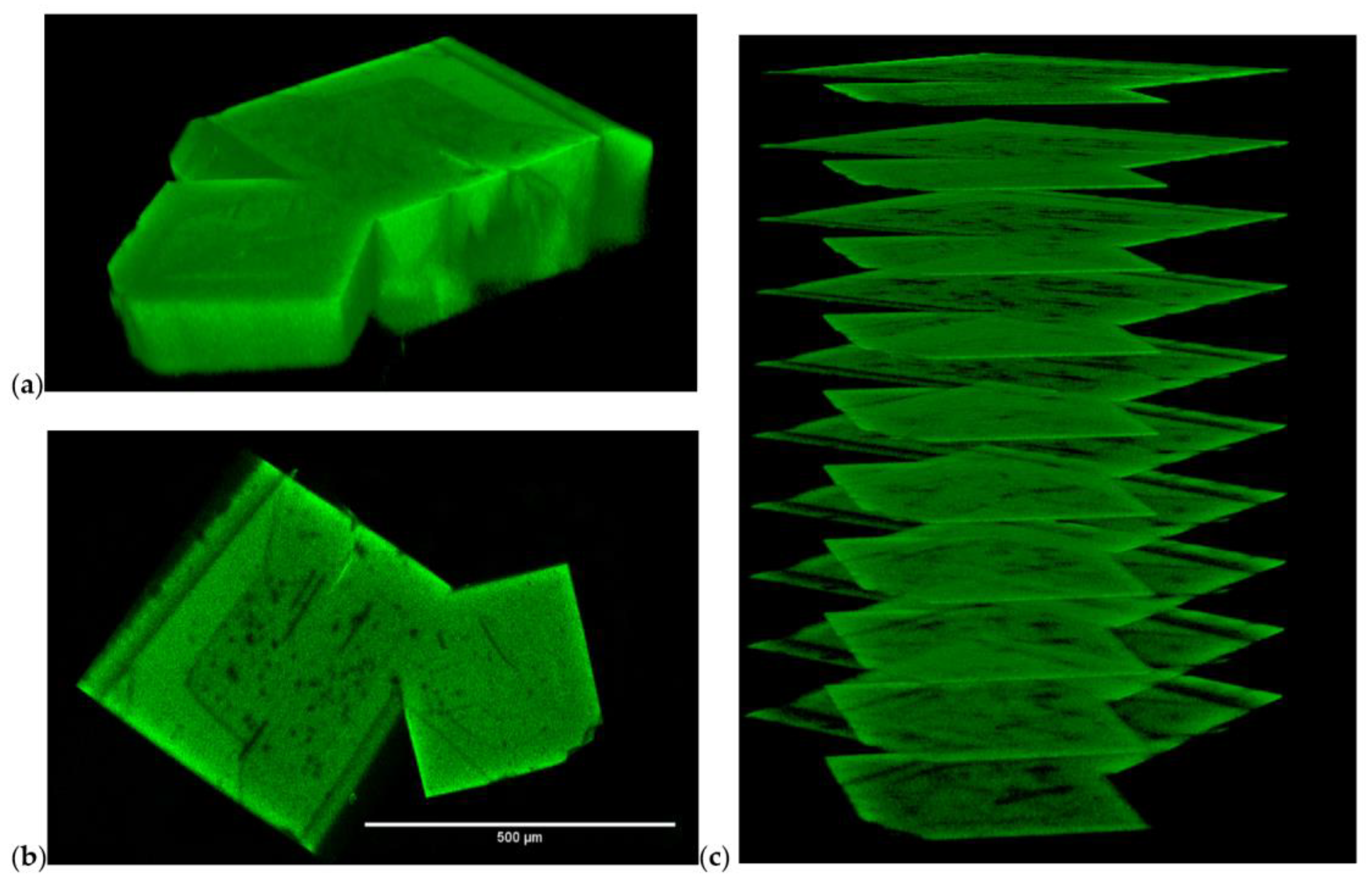 Molecules 28 02877 g003 Molecules 28 02877 g003
