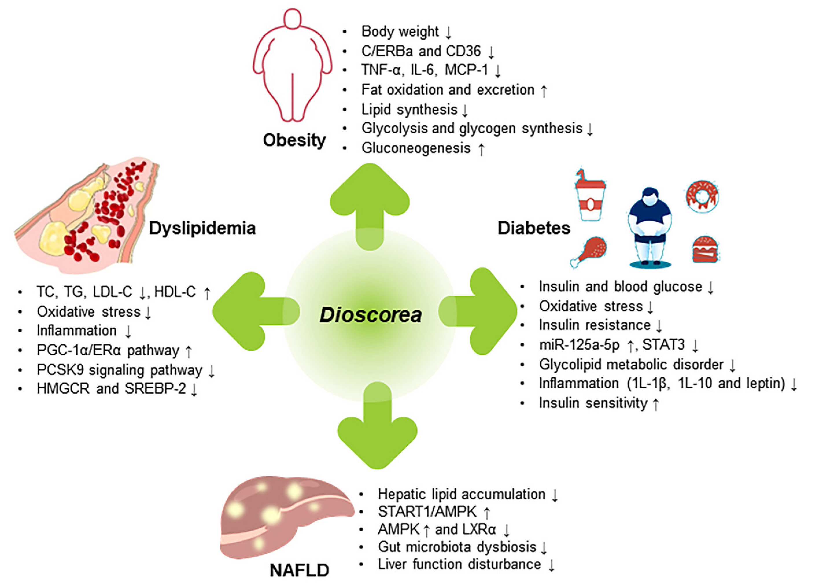 Molecules 28 02878 g003 Molecules 28 02878 g003