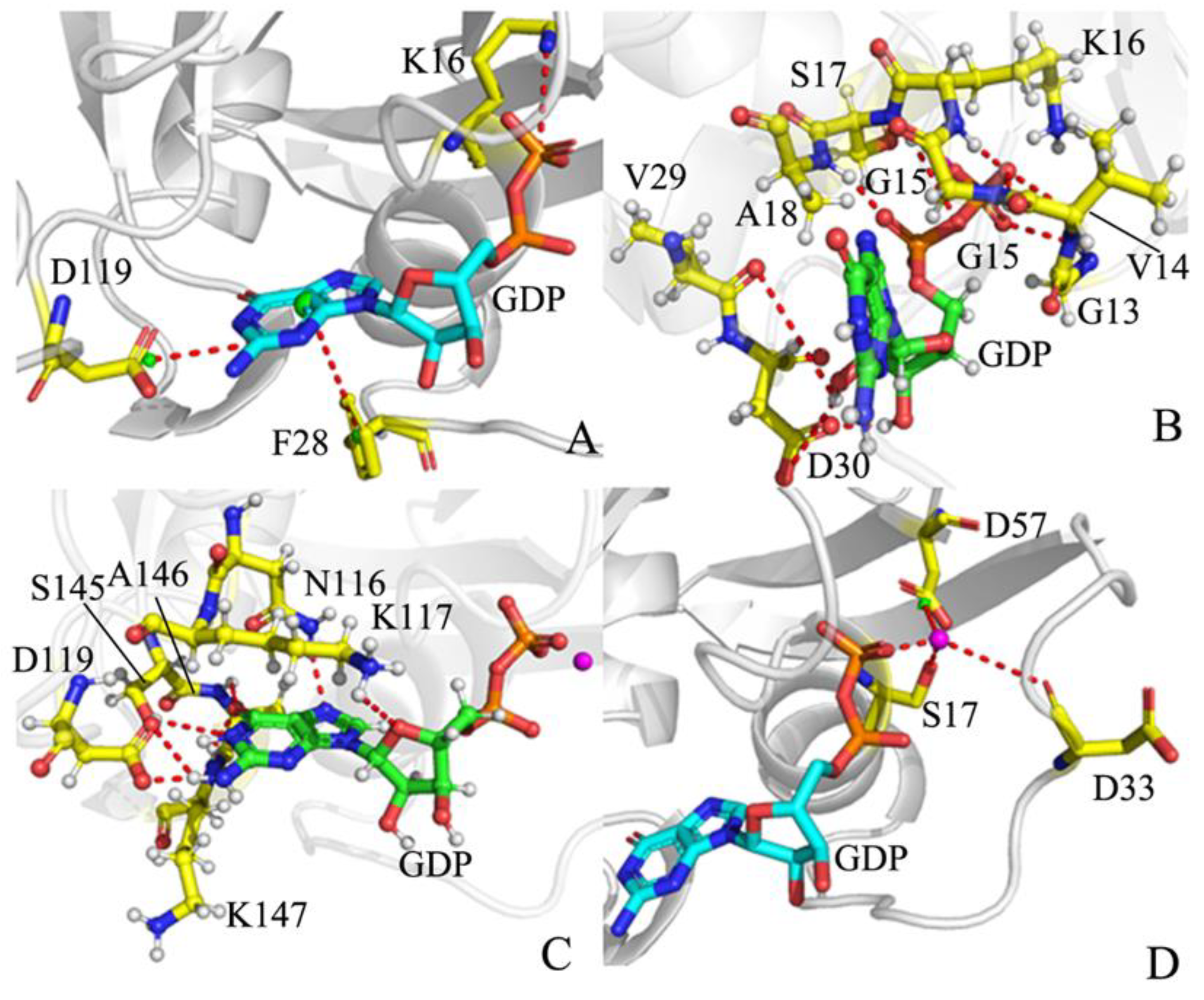 Molecules 28 02886 g009