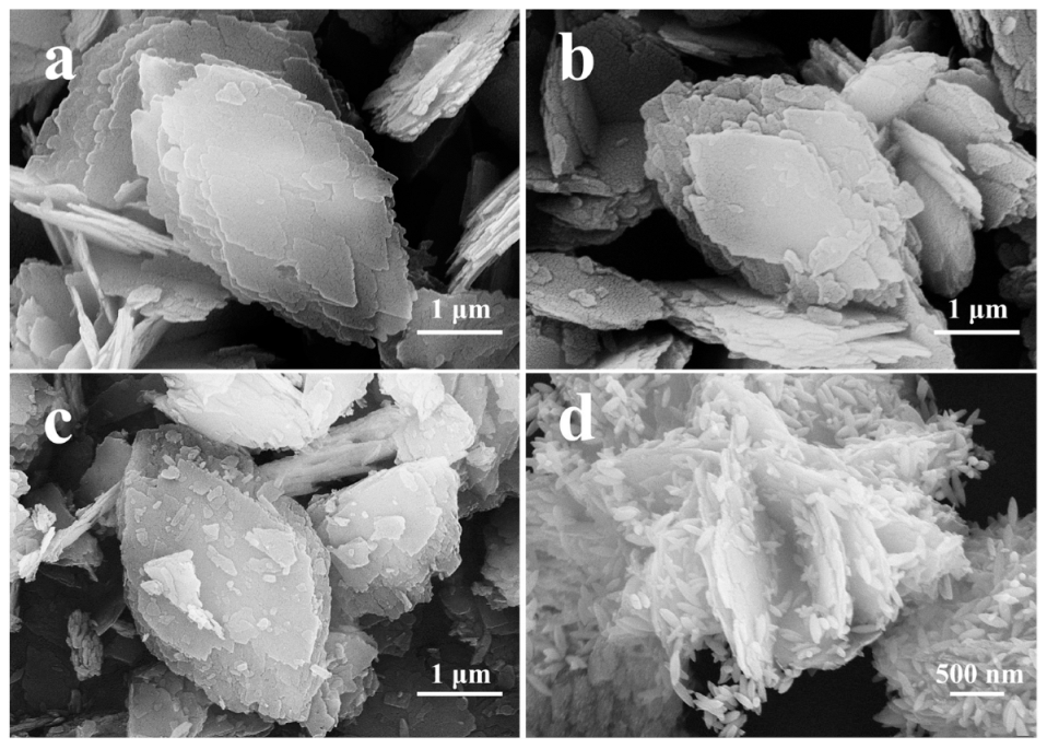 Molecules 28 02889 g002