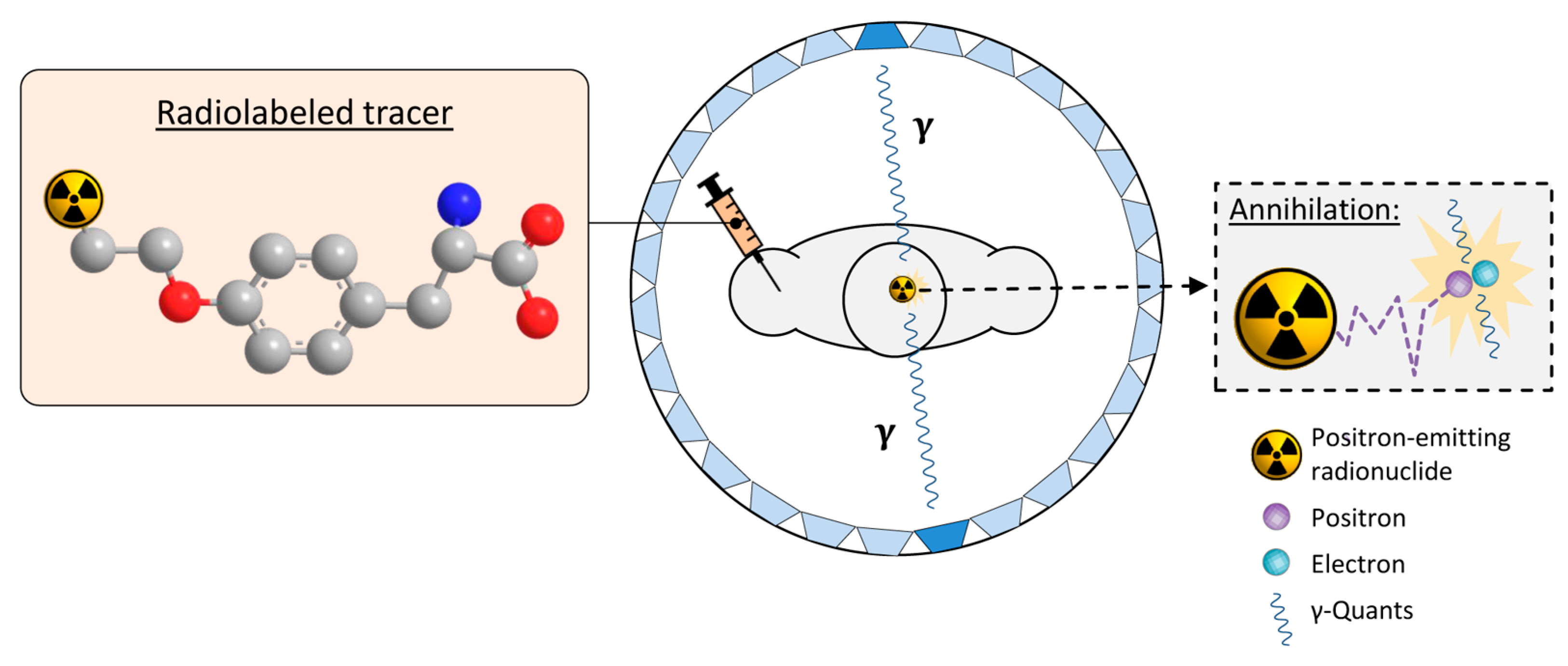 Molecules 28 02890 g004 Molecules 28 02890 g004