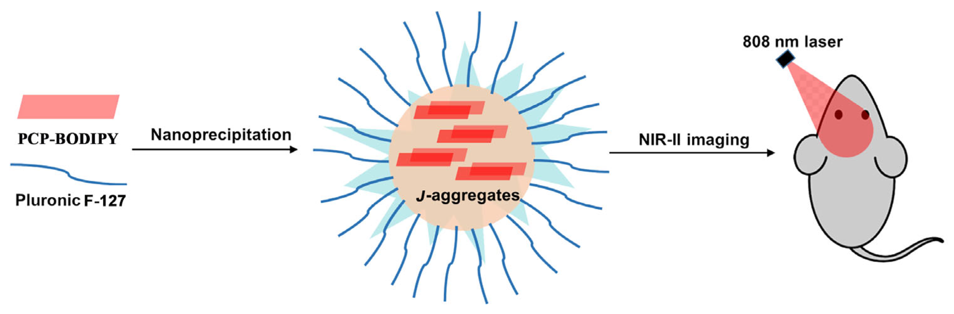 Molecules 28 02891 g002