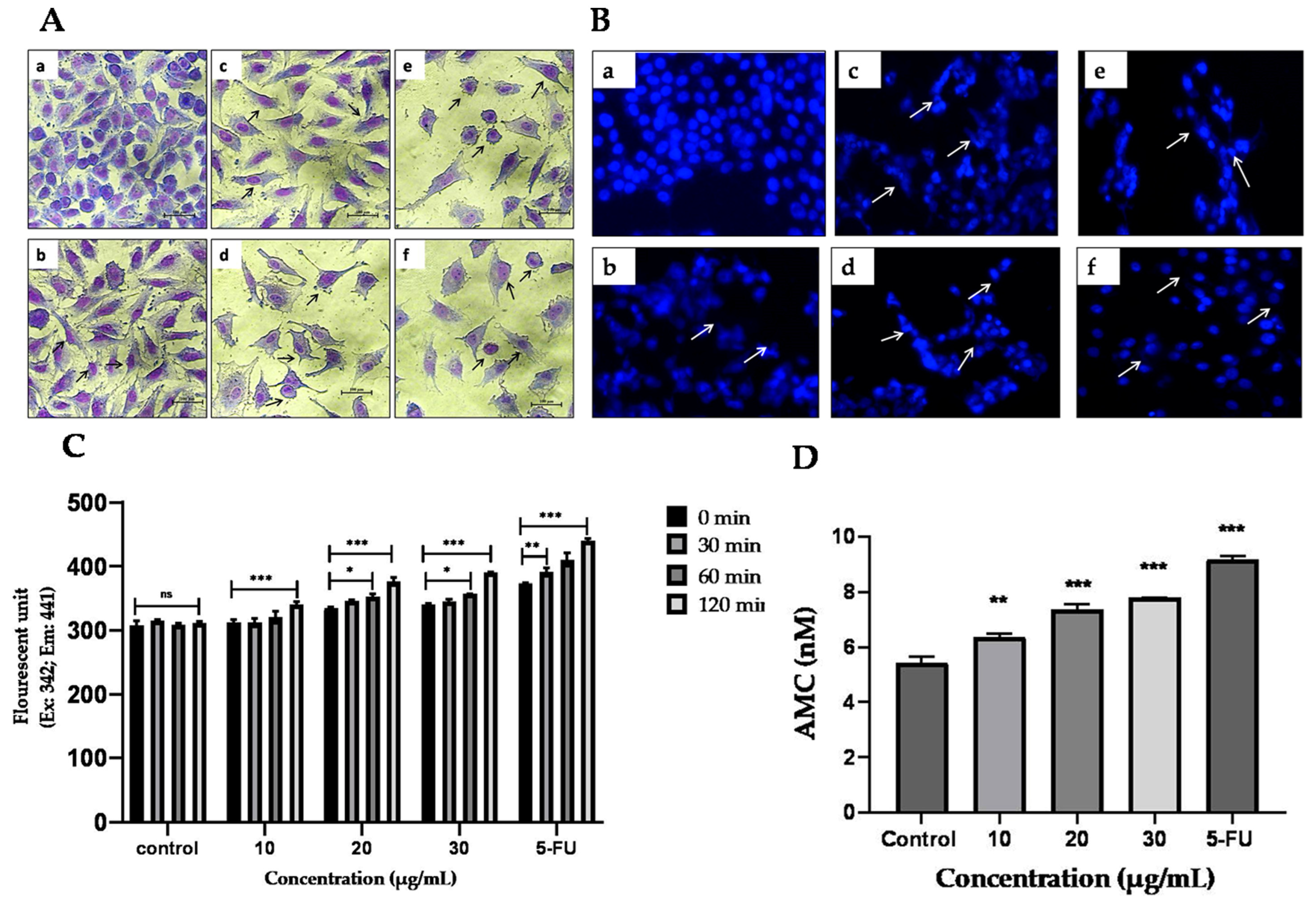 Molecules 28 02901 g007