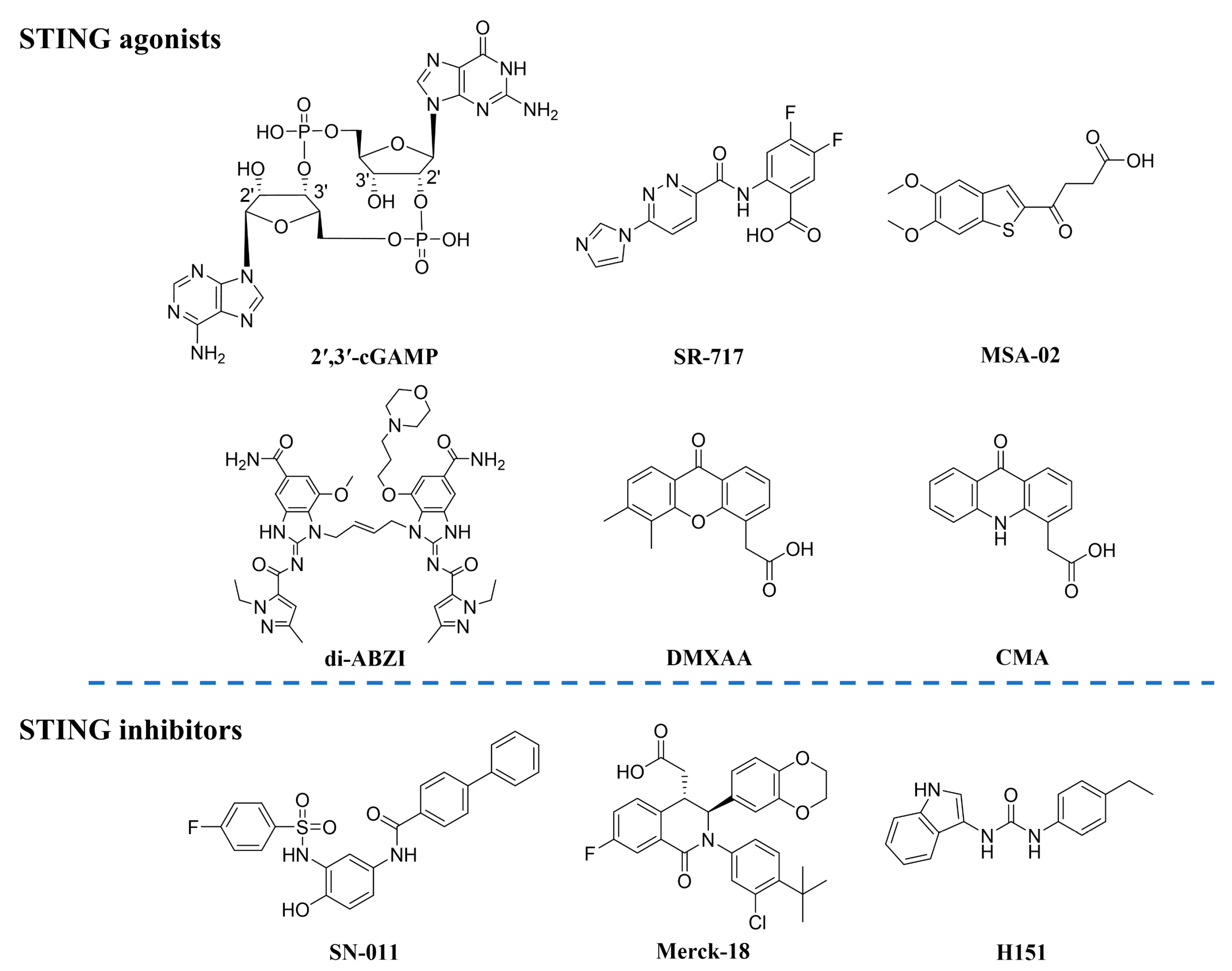 Molecules 28 02906 g001