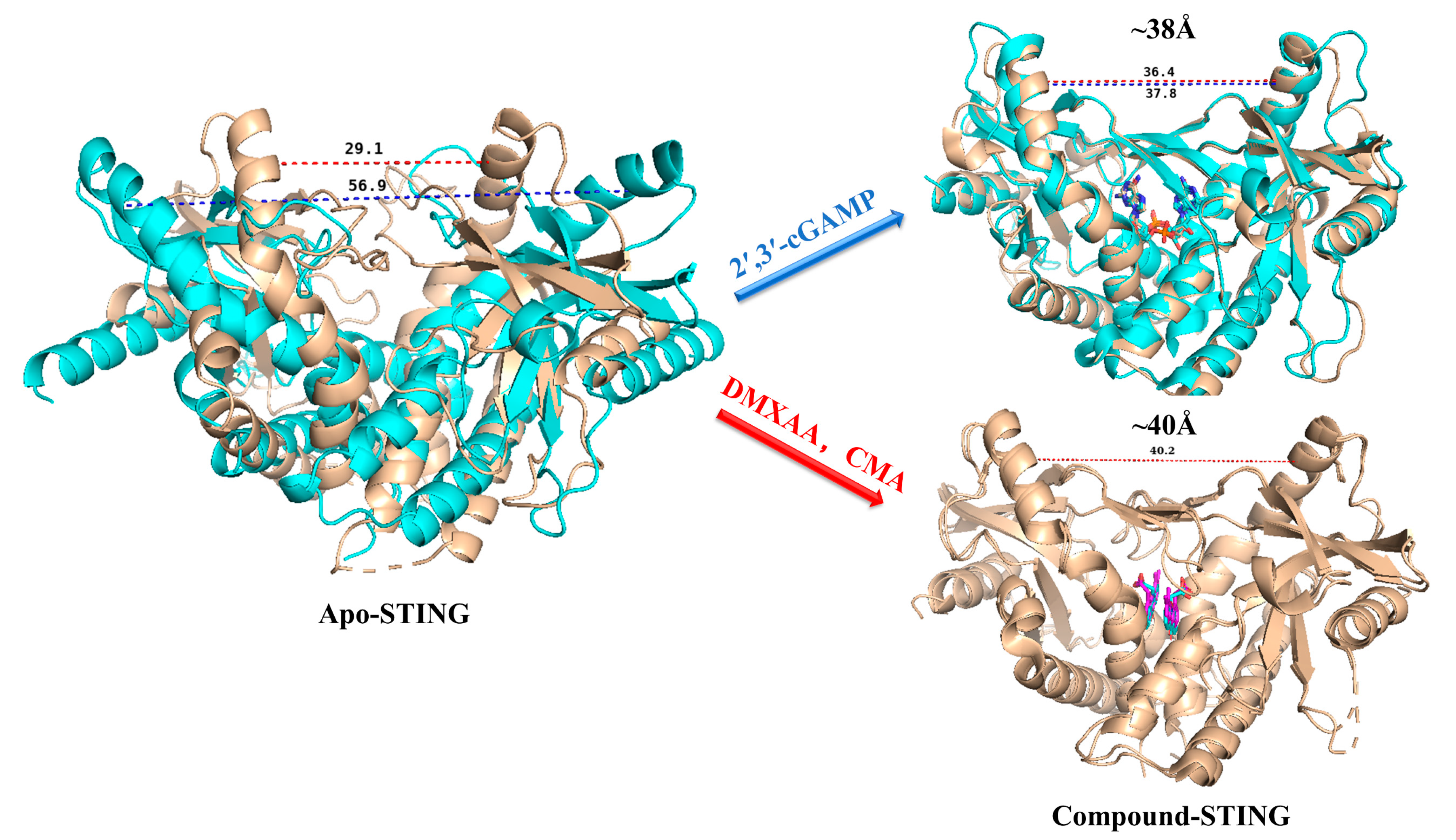 Molecules 28 02906 g003