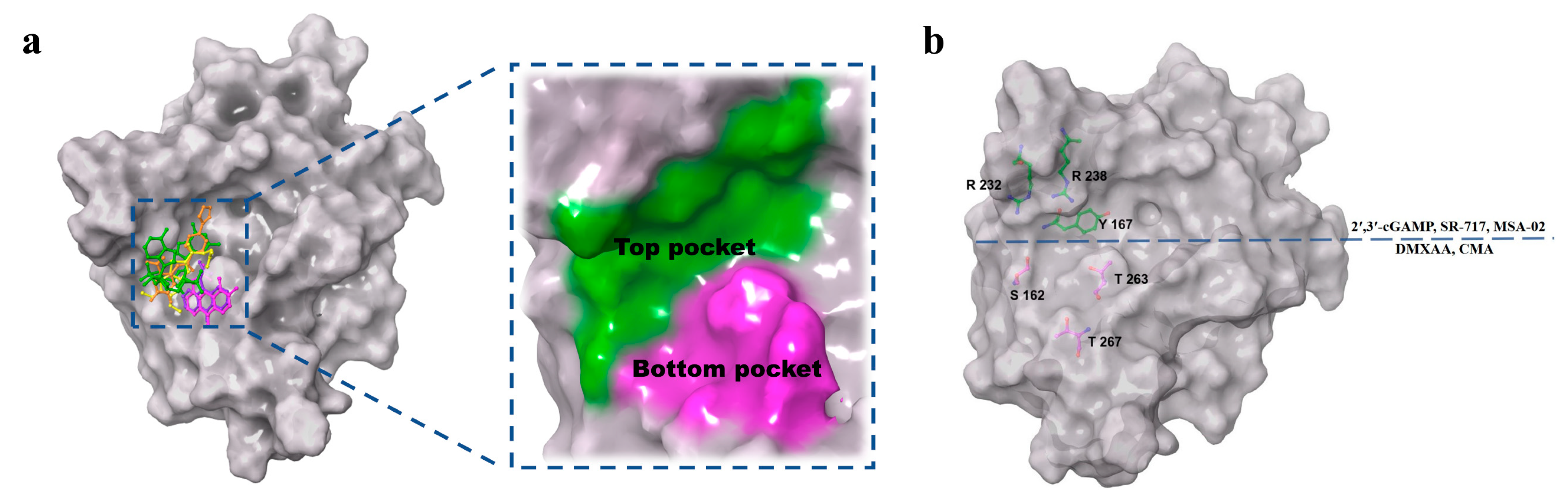 Molecules 28 02906 g004