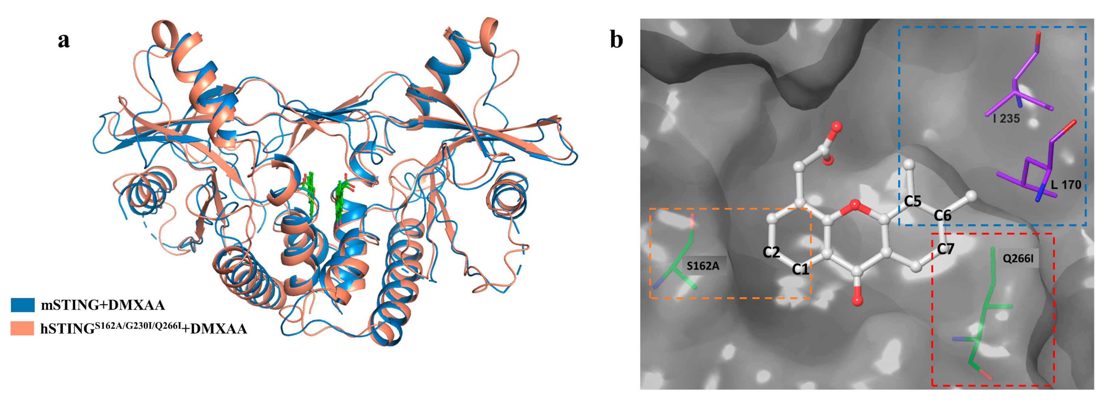 Molecules 28 02906 g006