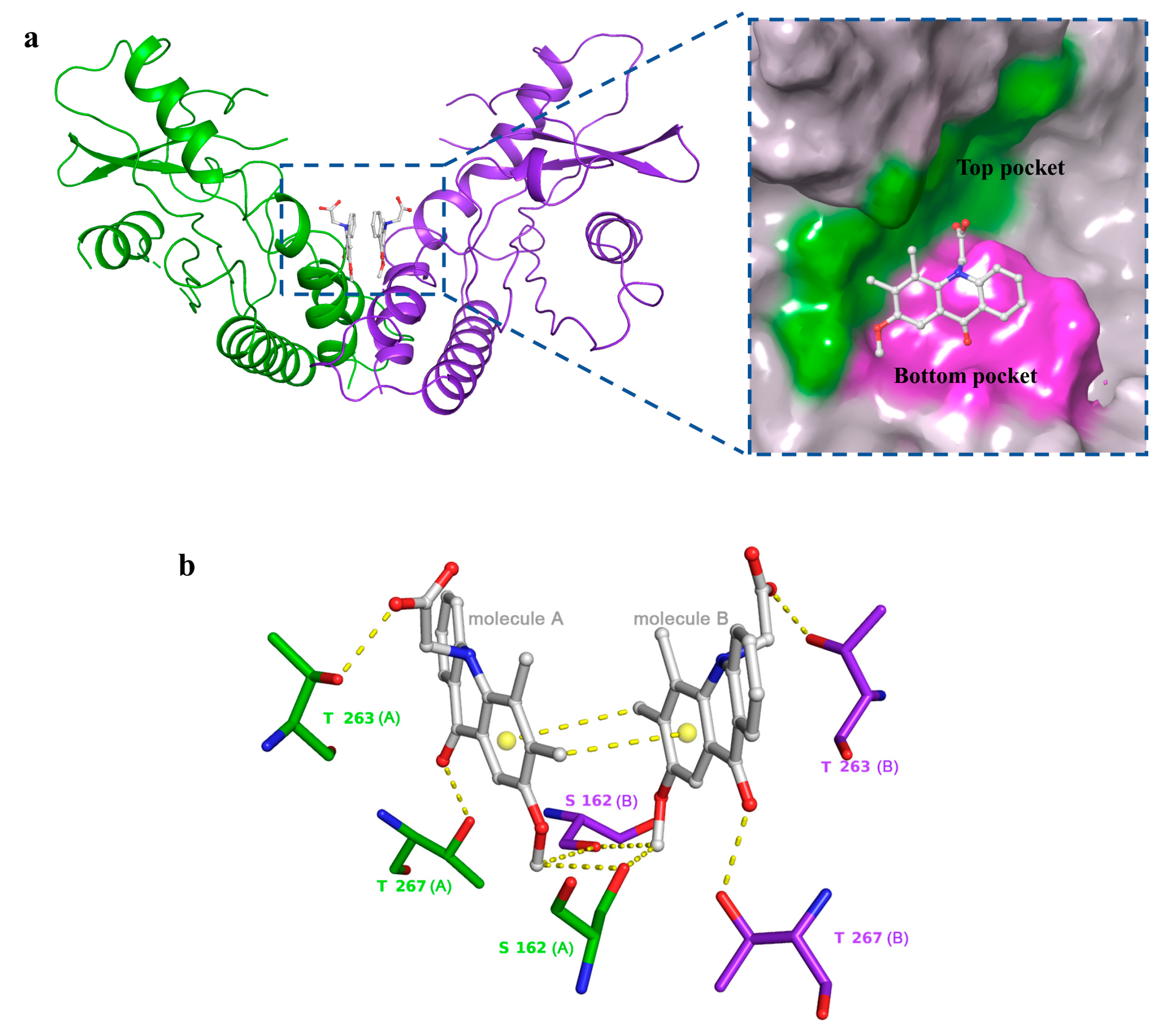 Molecules 28 02906 g008