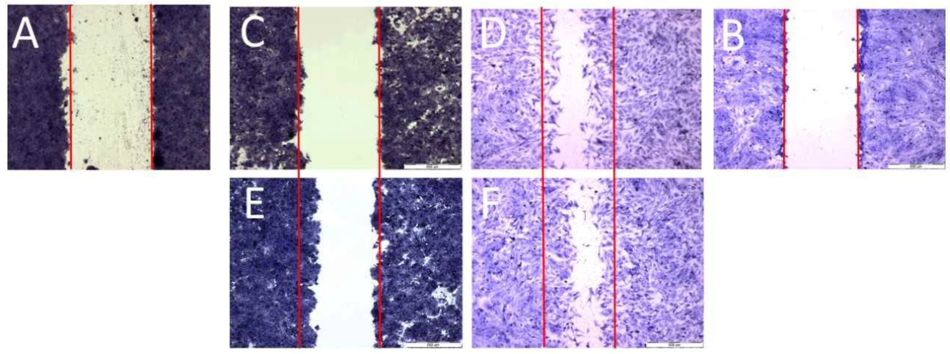 Molecules 28 02907 g004