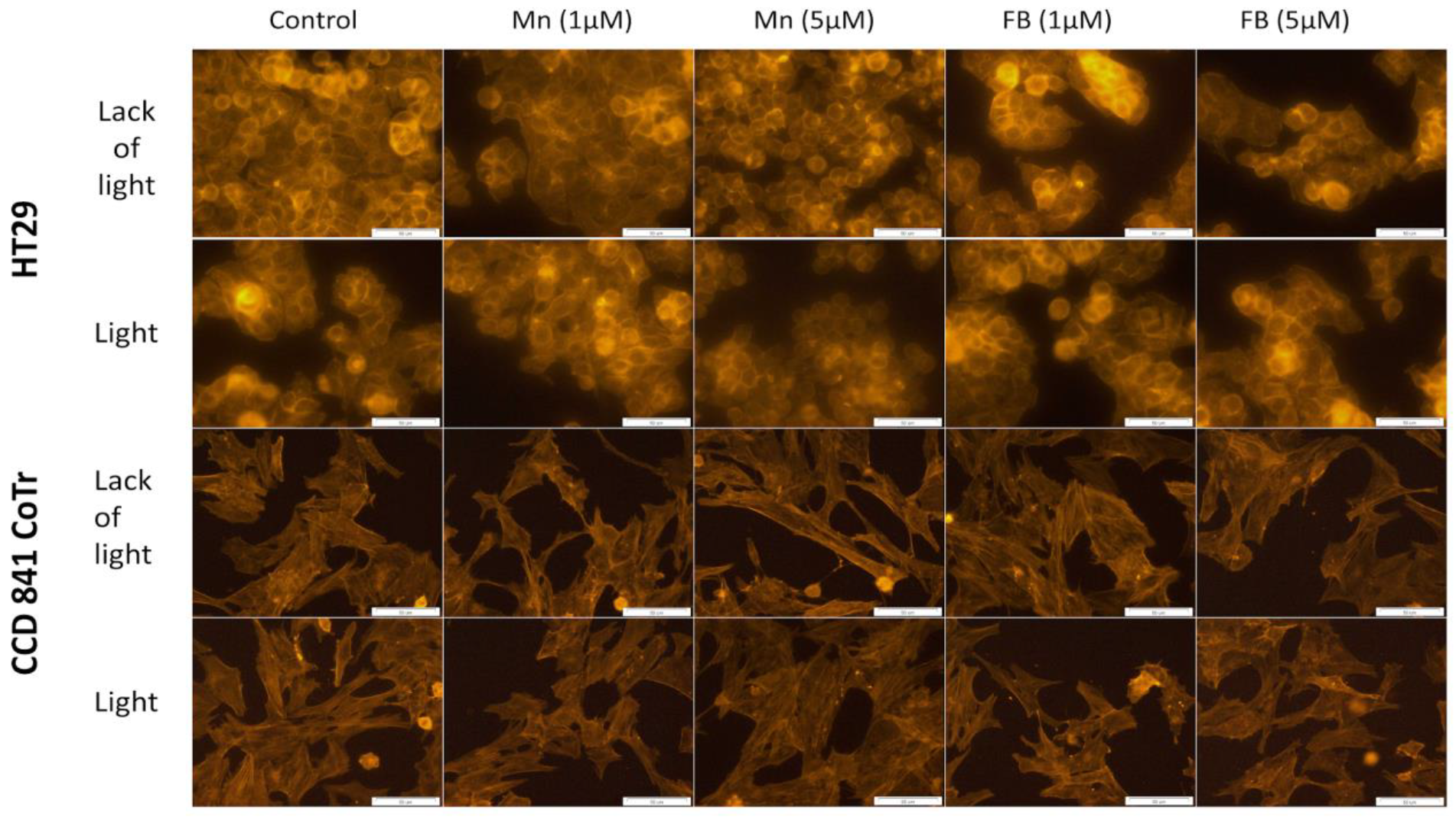 Molecules 28 02907 g009
