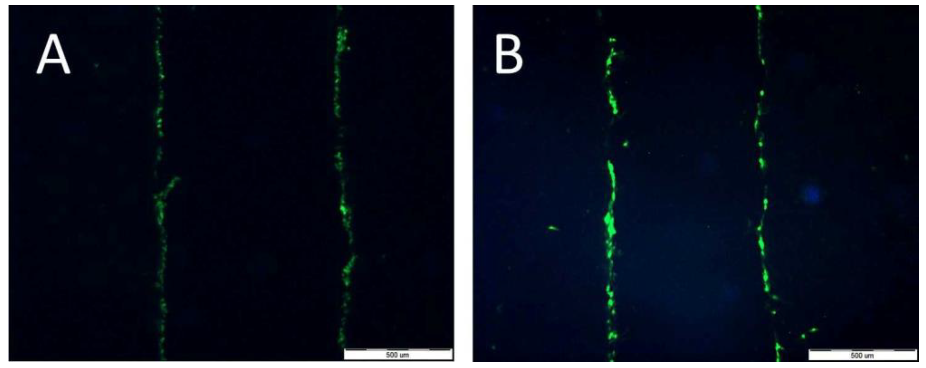 Molecules 28 02907 g010