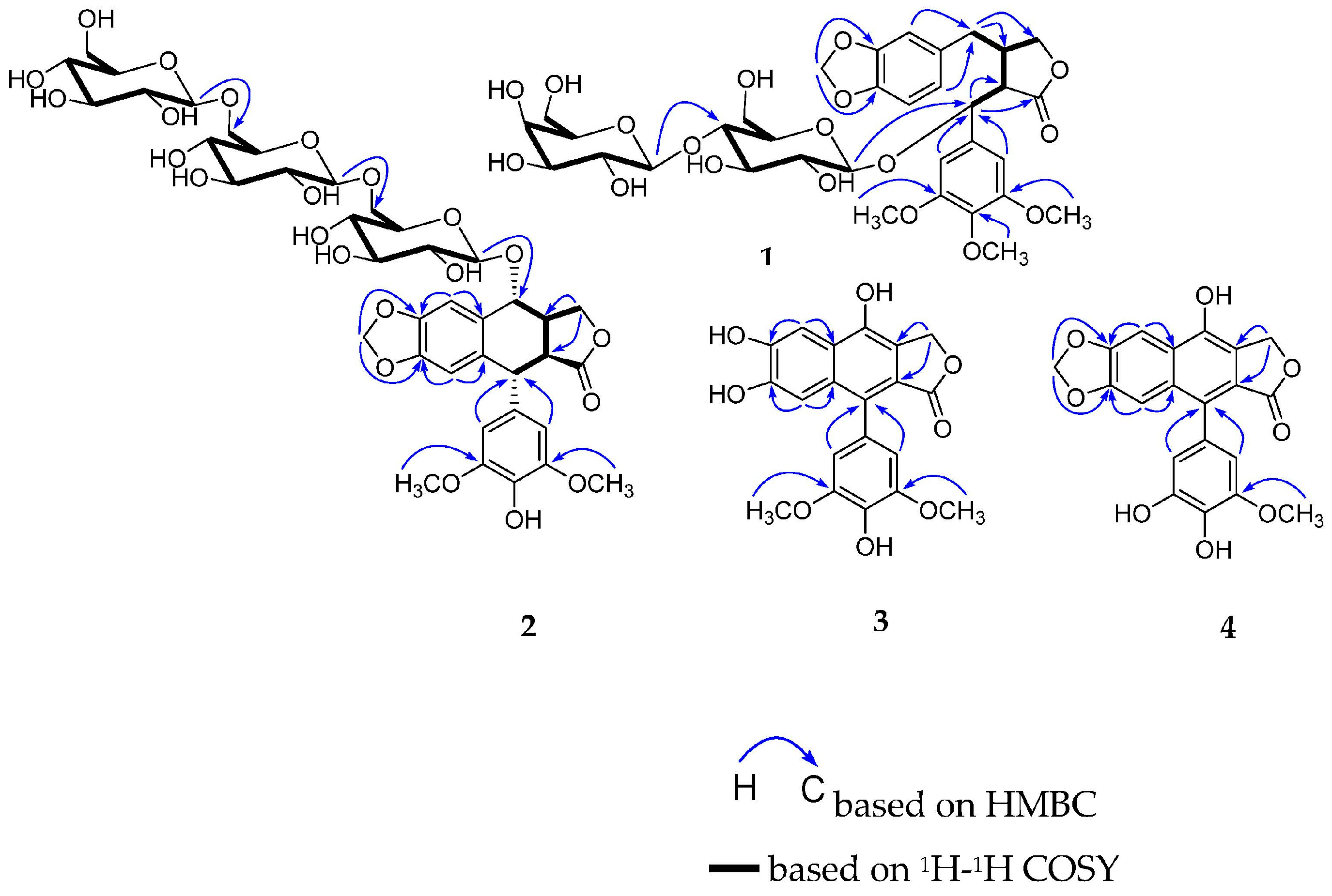 Molecules 28 02909 g002