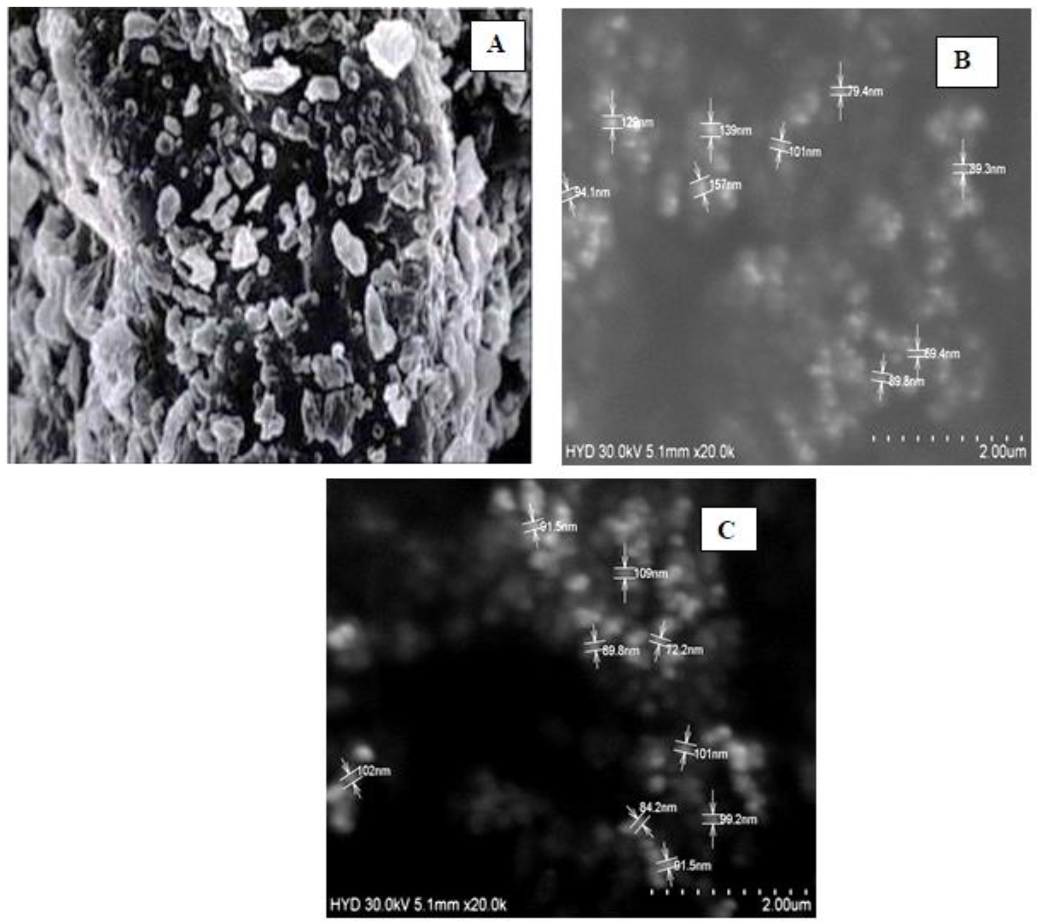 Molecules 28 02914 g004