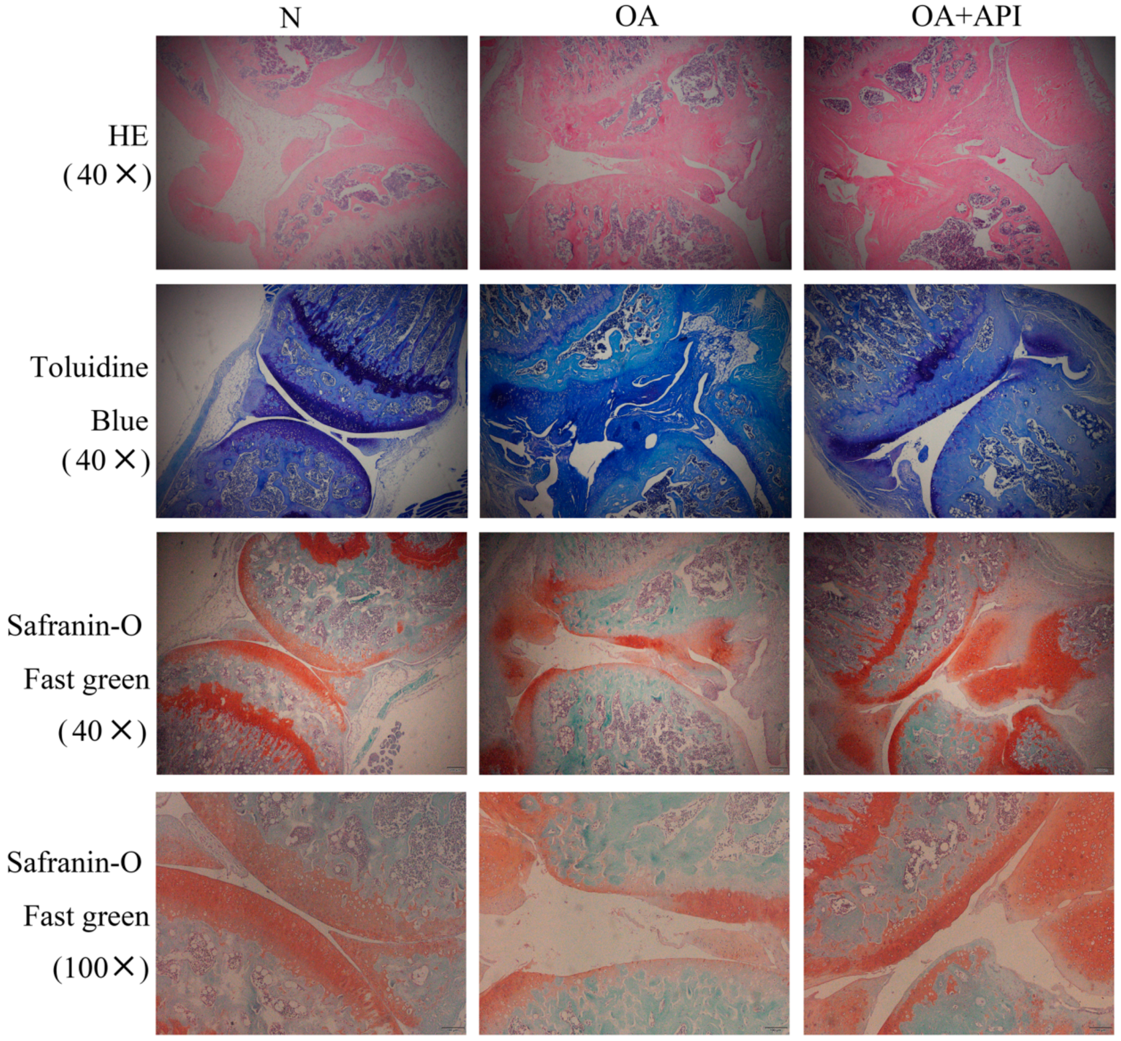 Molecules 28 02915 g001